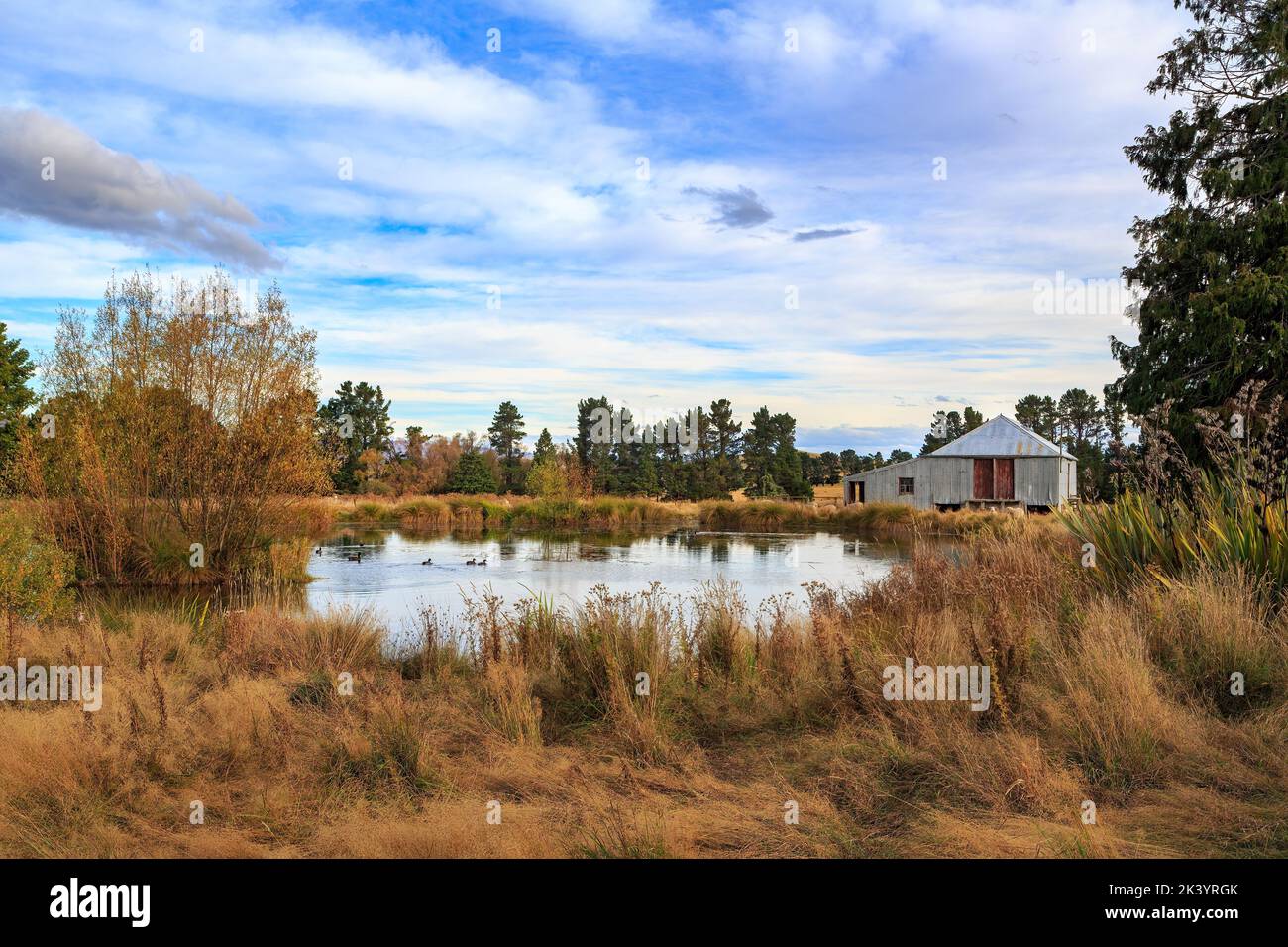 Un piccolo lago e un capannone di ferro ondulato in un allevamento di pecore nella regione di Otago, Isola del Sud, Nuova Zelanda. Fotografato in autunno Foto Stock