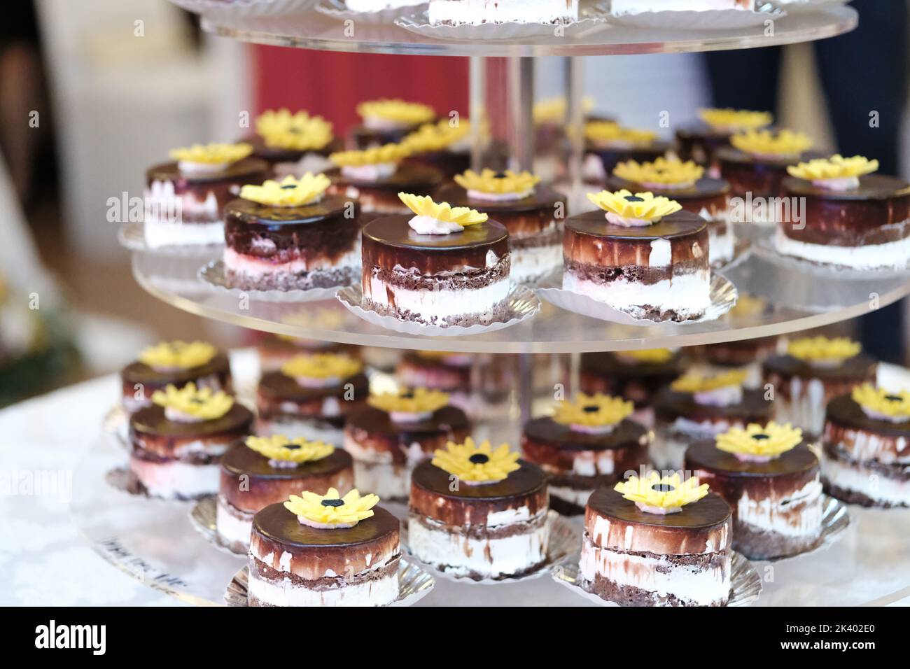 Torta rotonda a strati con cioccolato e vaniglia Foto Stock