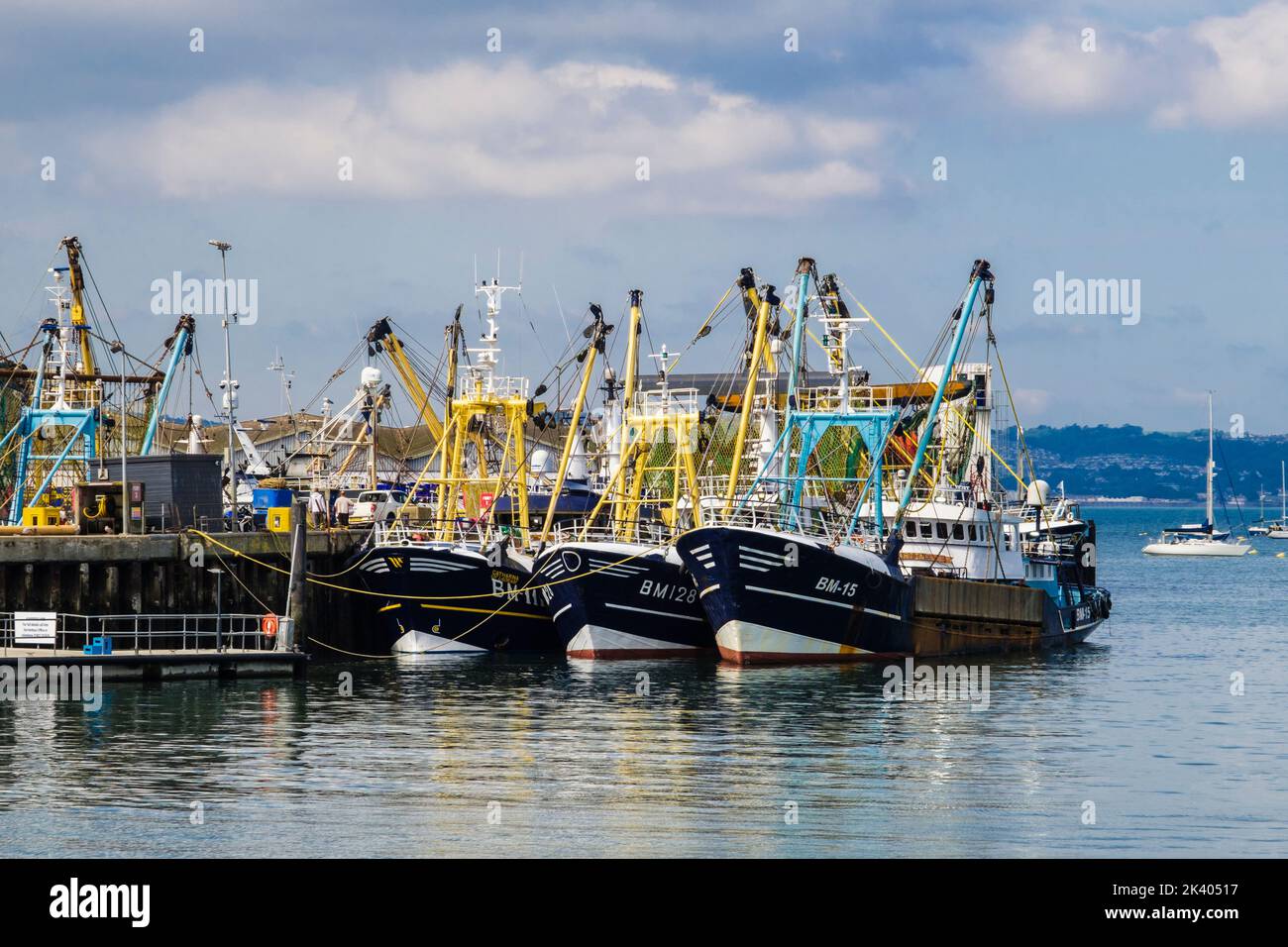 Flotta da pesca commerciale nel porto del porto esterno. Brixham, Devon, Inghilterra, Regno Unito, Gran Bretagna Foto Stock
