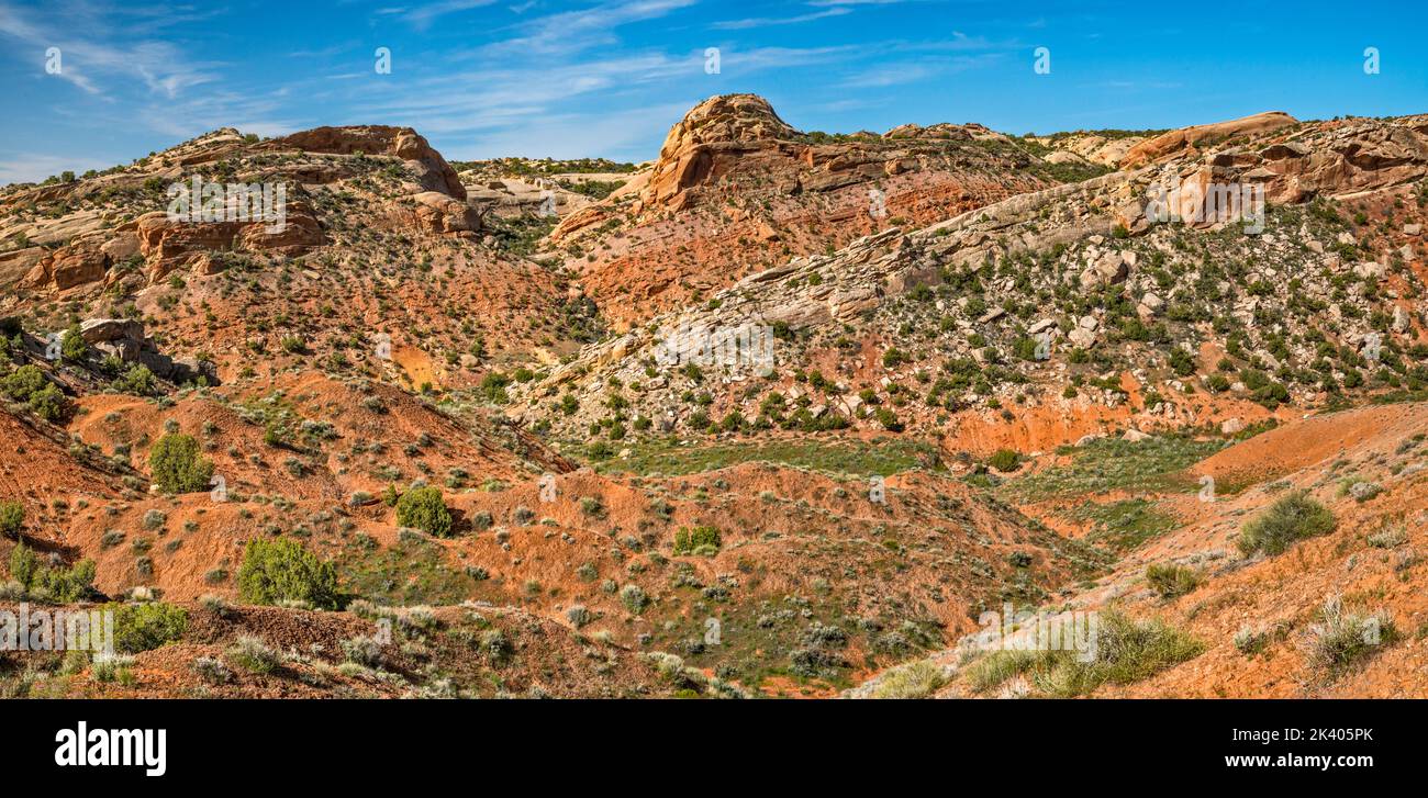 La Morgan Formation oscilla sul Red Wash, vista dal Sound of Silence Trail, dalla zona delle Montagne di Spalato, dal Dinosaur National Monument, Utah, USA Foto Stock