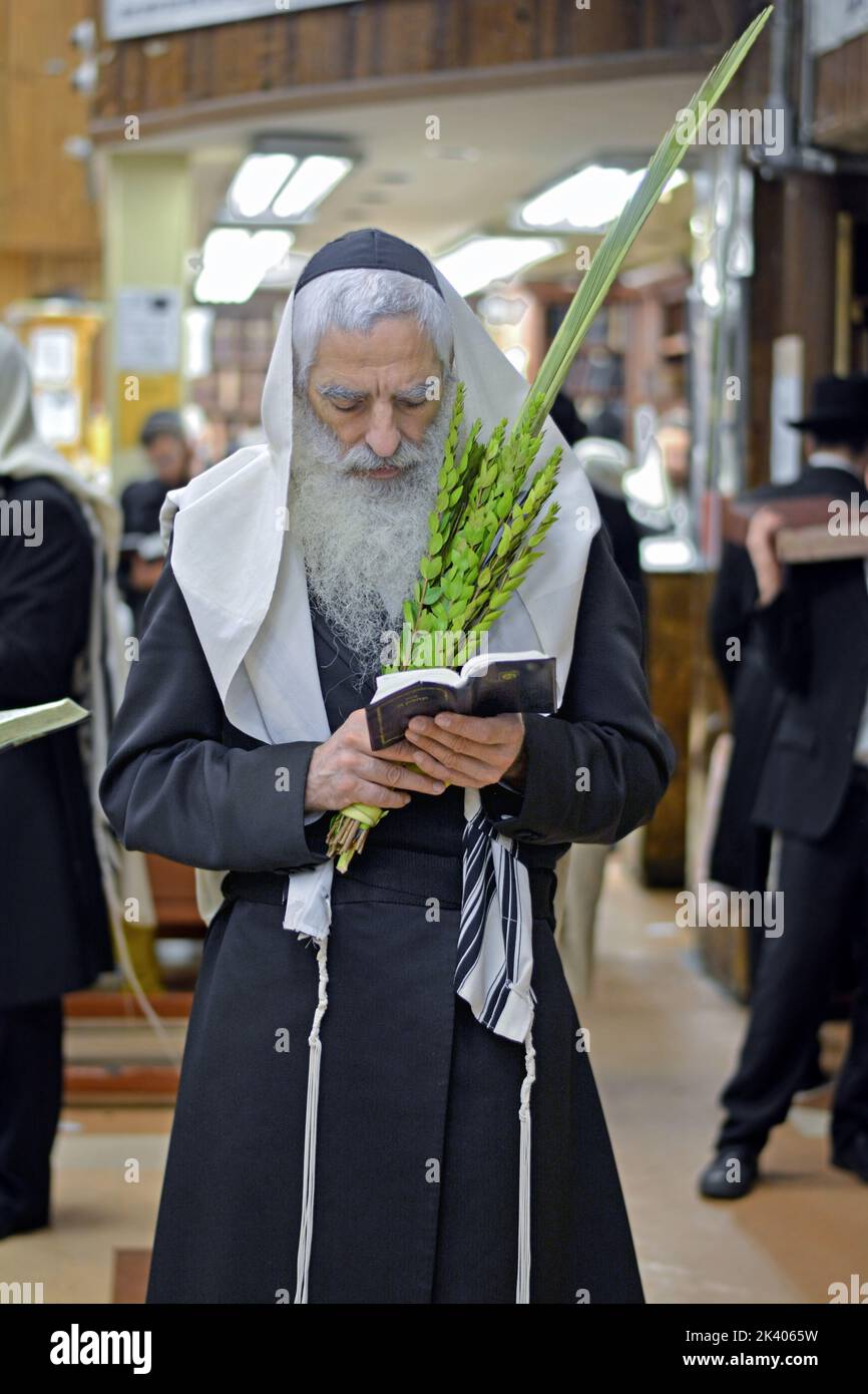 Ai servizi di sukkos, un ebraico ortodosso prega mentre tiene l'esrog & il lulav come è consuetudine. A Crown Heights, Brooklyn, New York Foto Stock