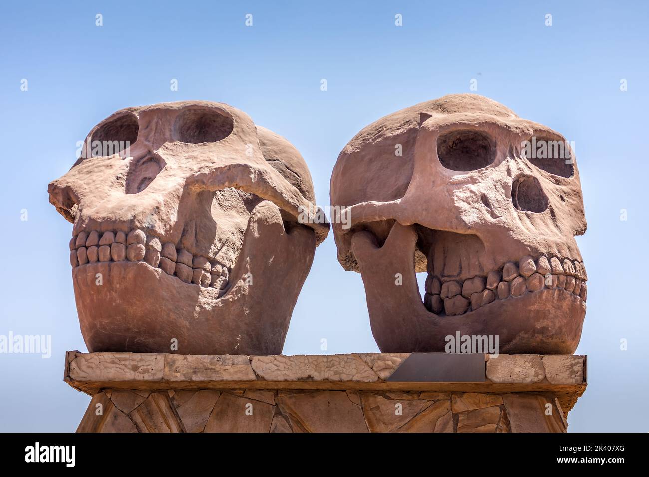 Serengeti, Tanzania 18.09.2022: Museo della Gola di Olduvai (zona protetta di Ngorongoro). Statua all'ingresso. Teschi di Paranthropus (a sinistra) e Homo ha Foto Stock