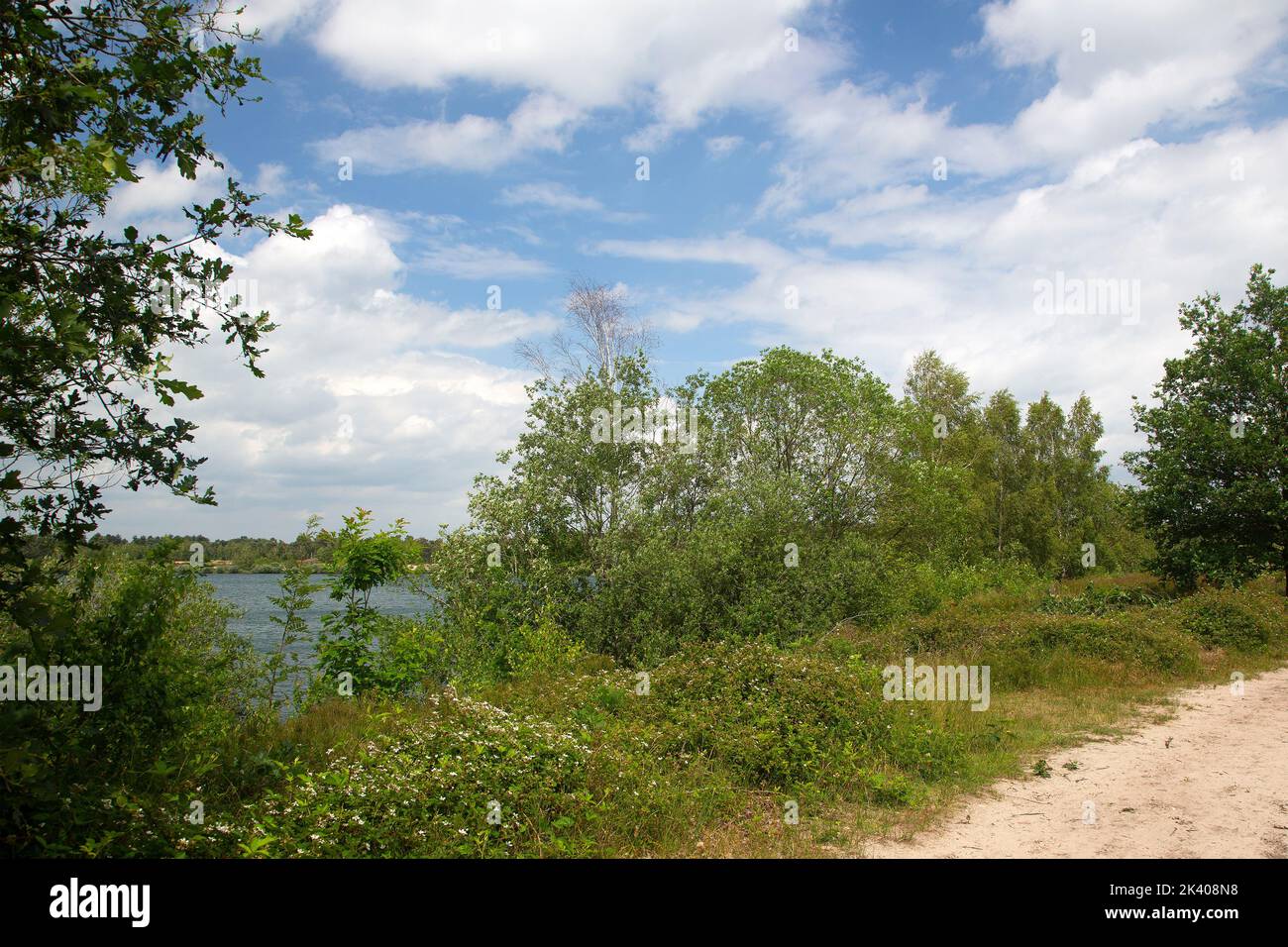 Paesaggio tipico intorno al lago di Reinders nel Parco Nazionale Olandese De Maasduinen; Bergen, Limburgo, Paesi Bassi Foto Stock