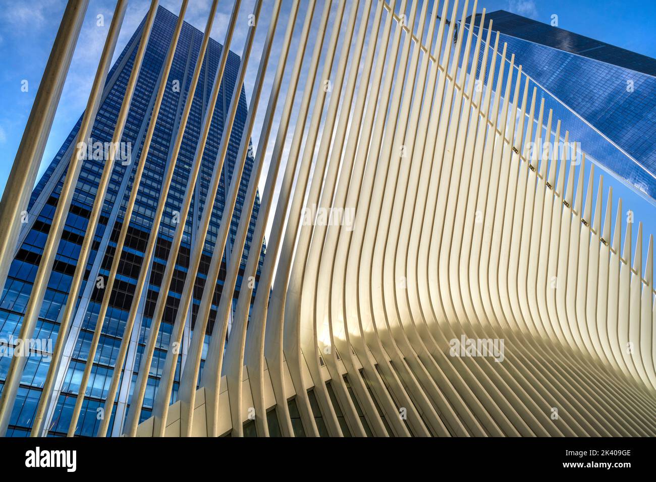 Stazione World Trade Center (PATH), conosciuta anche come Oculus, progettata dall'architetto Santiago Calatrava, Manhattan, New York, USA Foto Stock