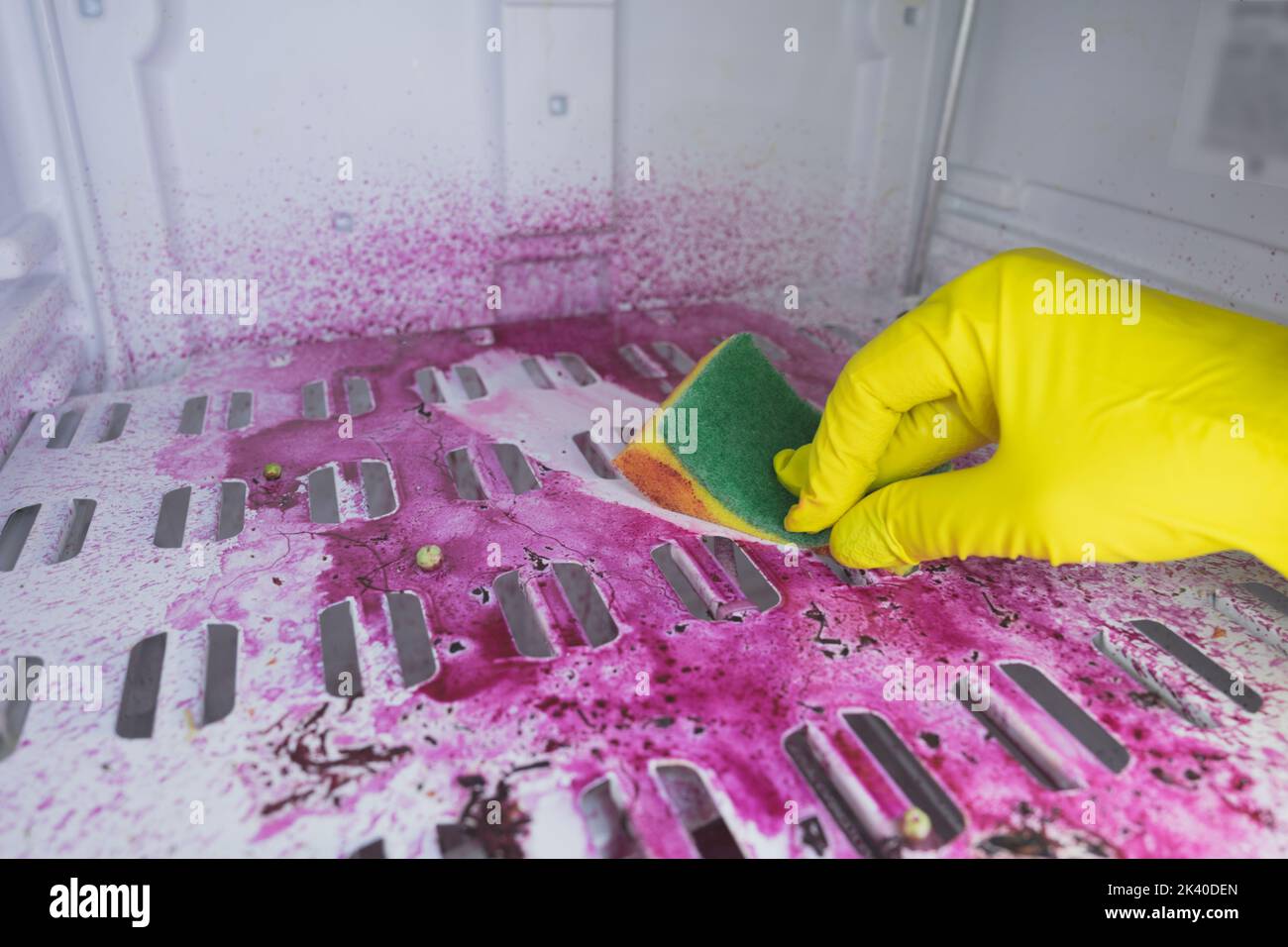 Scongelamento e pulizia del congelatore. Una donna in lattice guanti strofinare acqua fuso e sporco con una spugna. Profondità di campo bassa. Spazio per il testo. Foto Stock