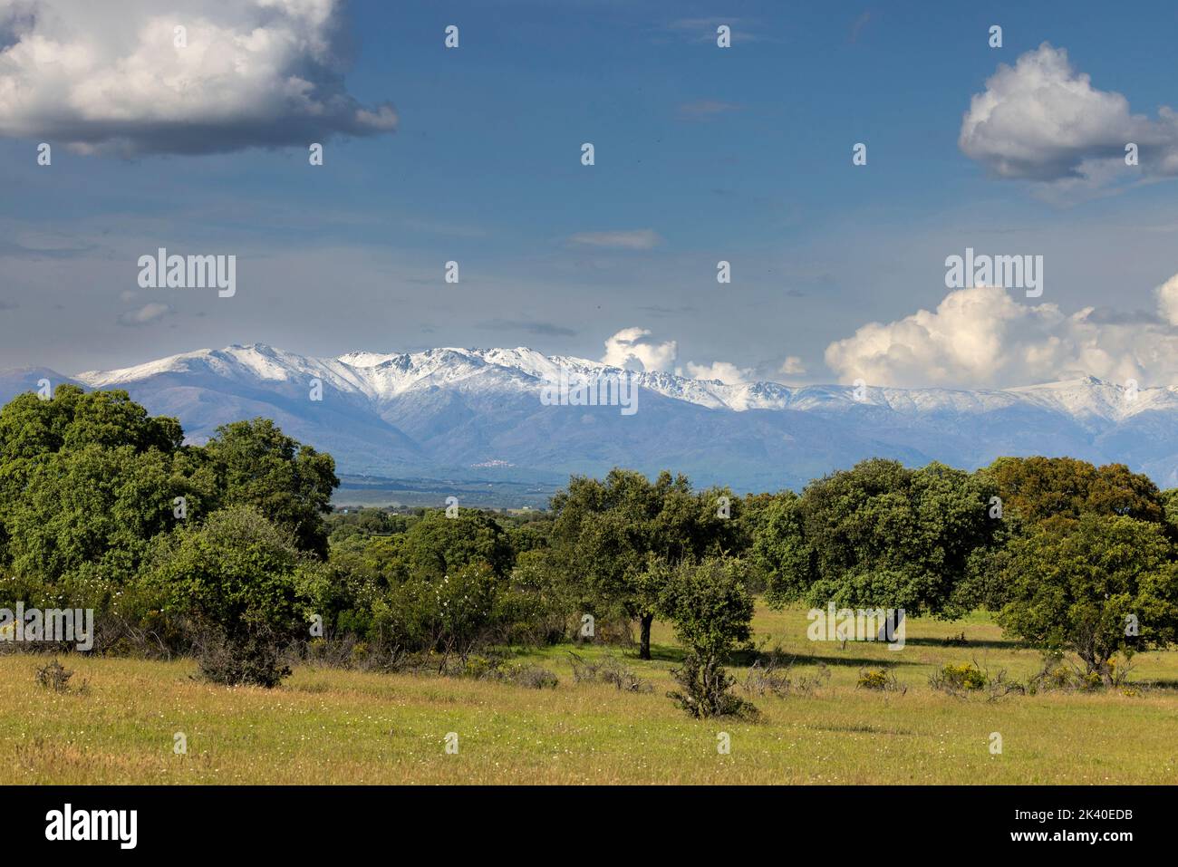 Sierra de Gredos, cresta di montagna coperta di neve, vista dal Monfrague NP vicino a la Herguijuela, Spagna, Estremadura, Parco Nazionale di Monfrague Foto Stock