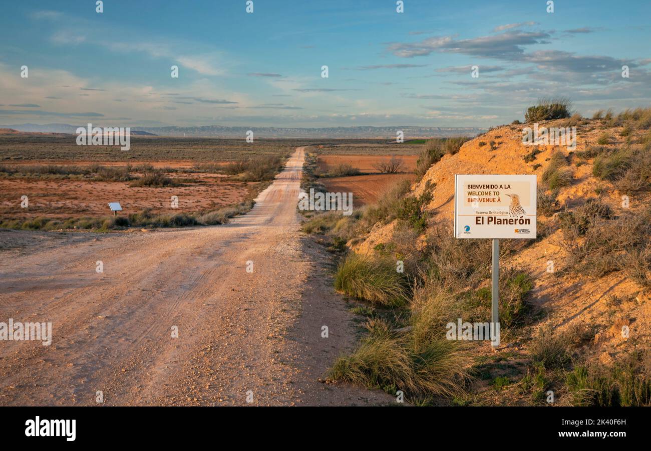 Strada di ghiaia attraverso la steppa nel bacino Ebro, El Planeron riserva naturale, Spagna, Katalonia, Belchite Foto Stock