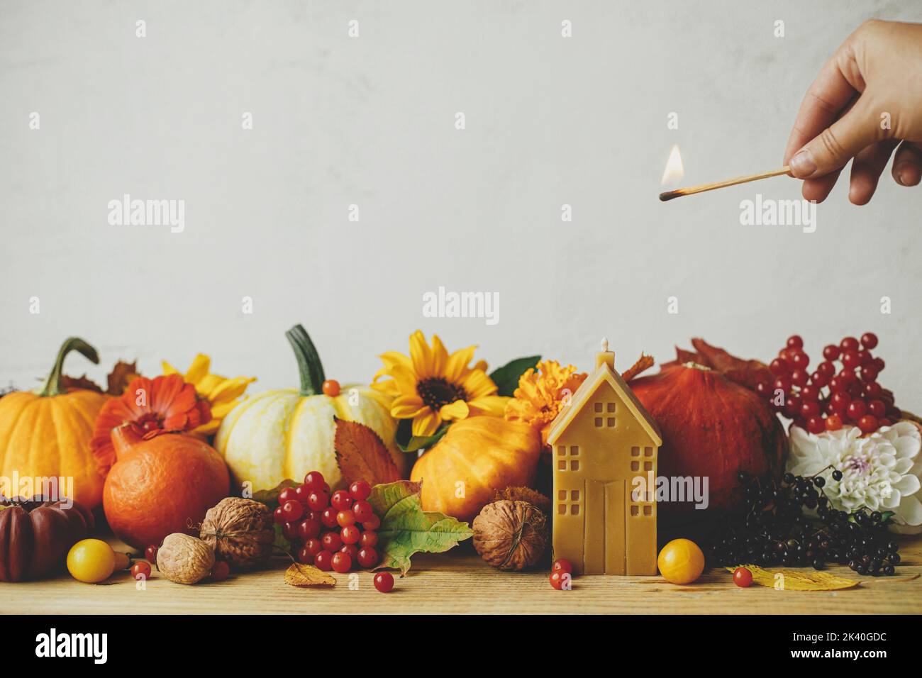 Mano che illumina candela sullo sfondo di zucche eleganti, fiori d'autunno, bacche, foglie su tavolo di legno in camera rustica. Suggestivo banner autunnale. Foto Stock