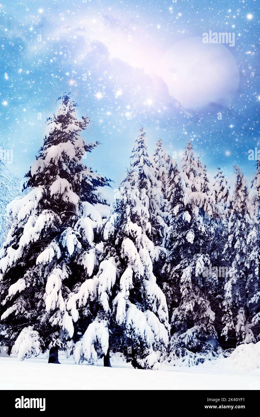 romantico paesaggio invernale con neve, alberi conifere, cielo blu con nuvole bianche e. Foto Stock
