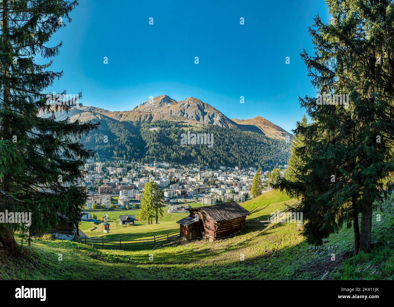 Vista a Davos *** Caption locale *** Davos, Graubünden, Svizzera, città, villaggio, foresta, legno, alberi, autunno, montagne, colline, Foto Stock