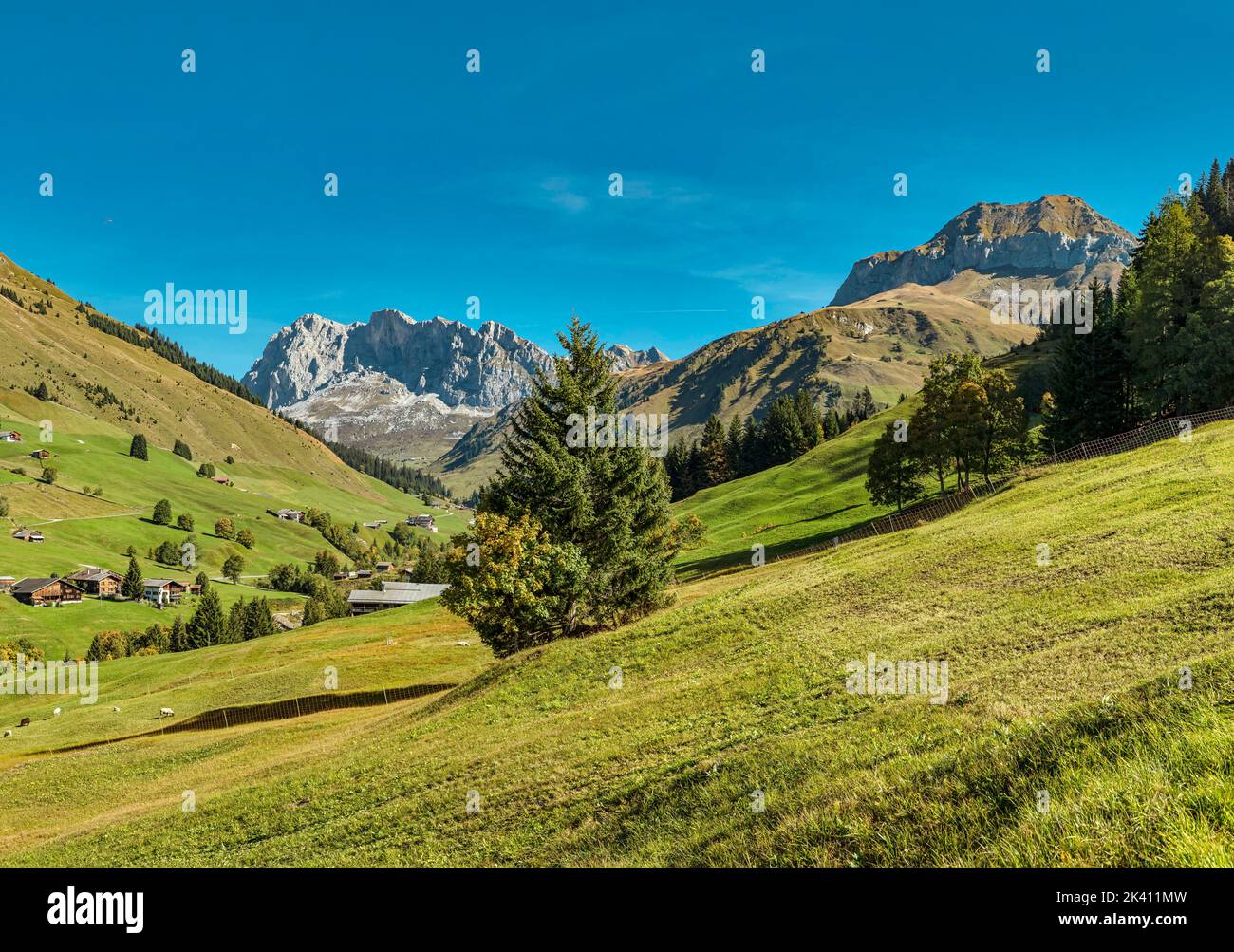 Valle Schanielenbach, Pratigau *** Caption locale *** Sankt Antönien, Graubünden, Svizzera, paesaggio, campo, prato, alberi, autunno, montagne, h Foto Stock
