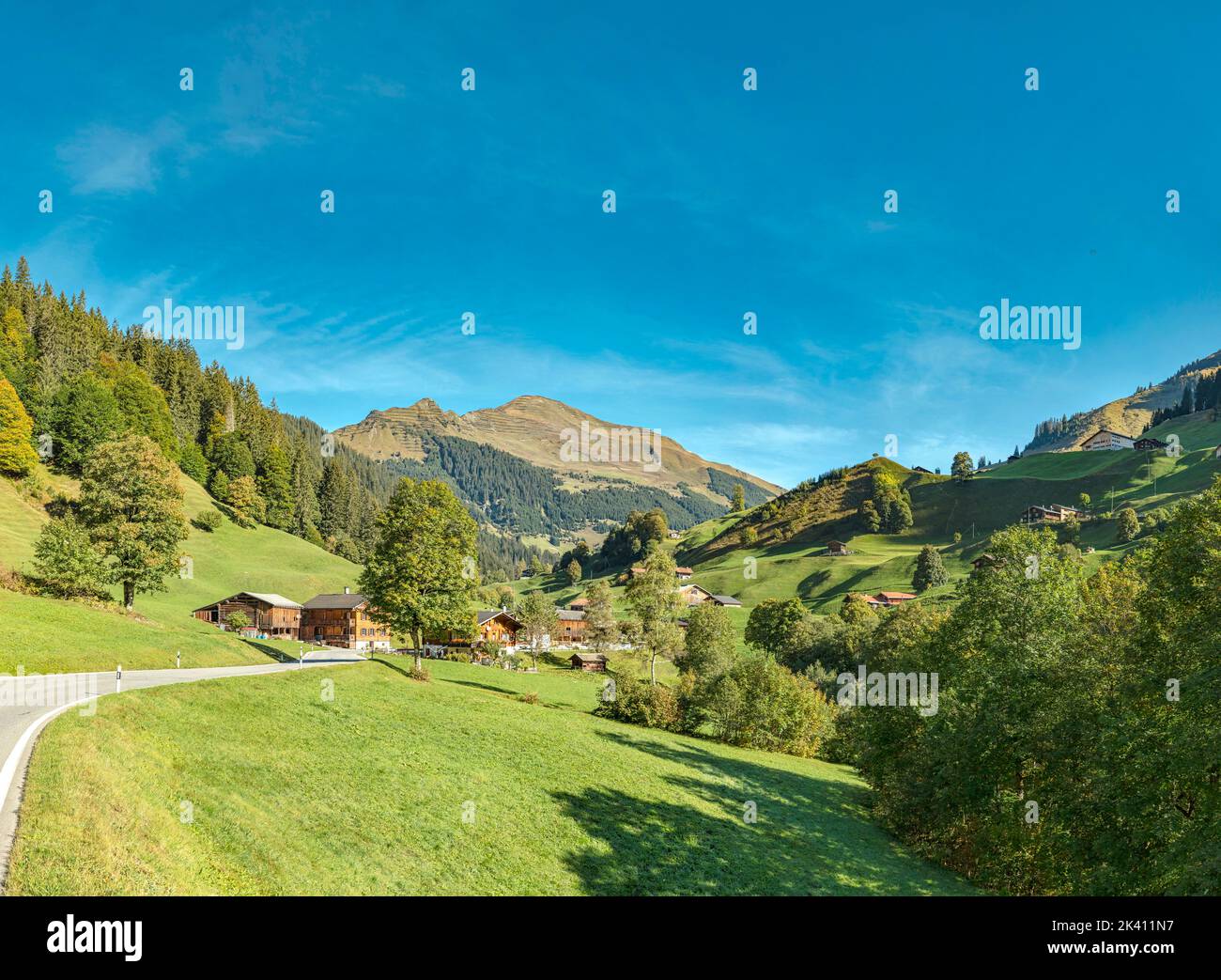 Valle Schanielenbach, Pratigau *** Caption locale *** Sankt Antönien, Graubünden, Svizzera, paesaggio, campo, prato, alberi, autunno, montagne, h Foto Stock