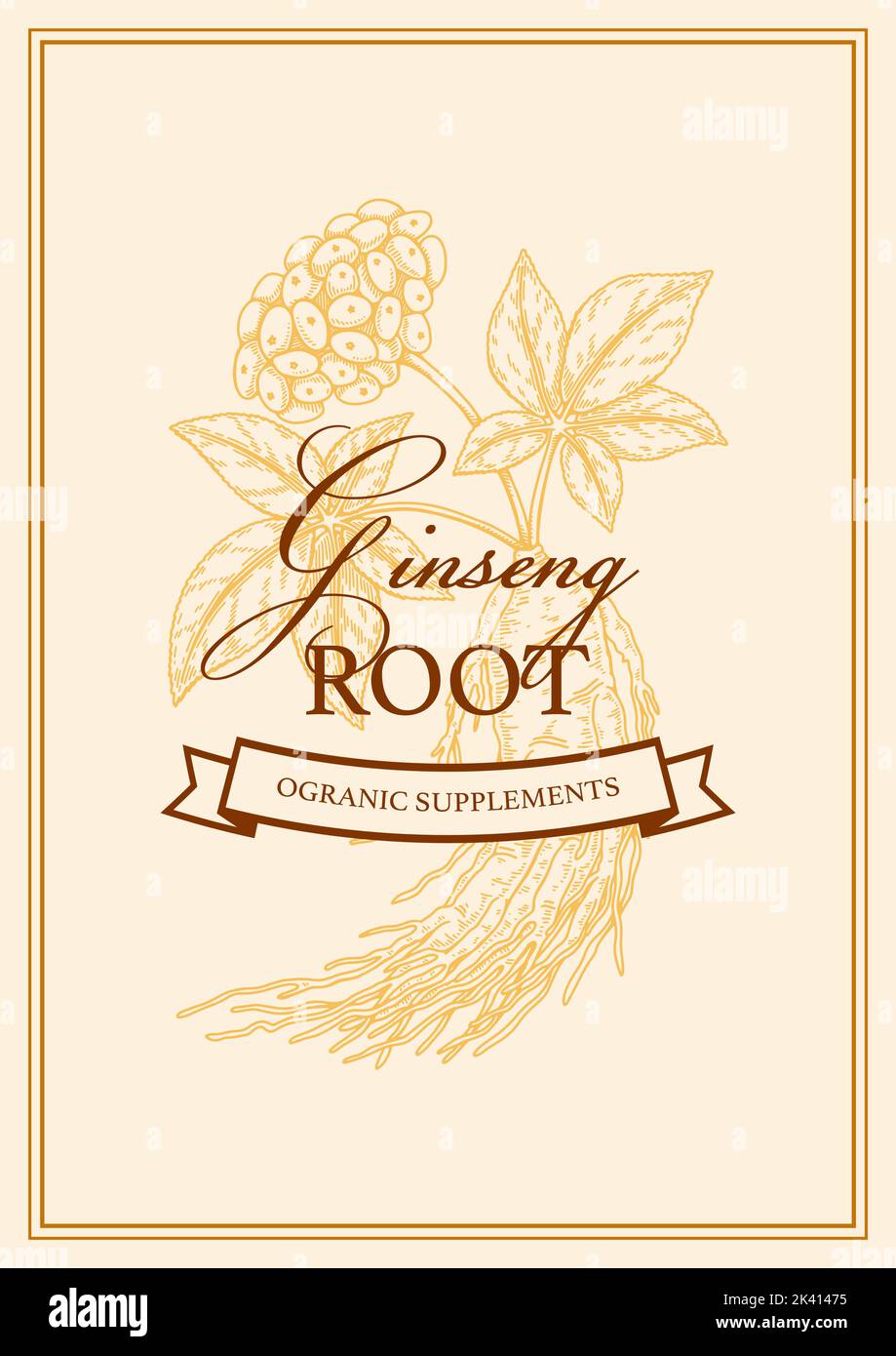 Design del packaging in ginseng disegnato a mano. Illustrazione del vettore botanico nello stile di schizzo Illustrazione Vettoriale