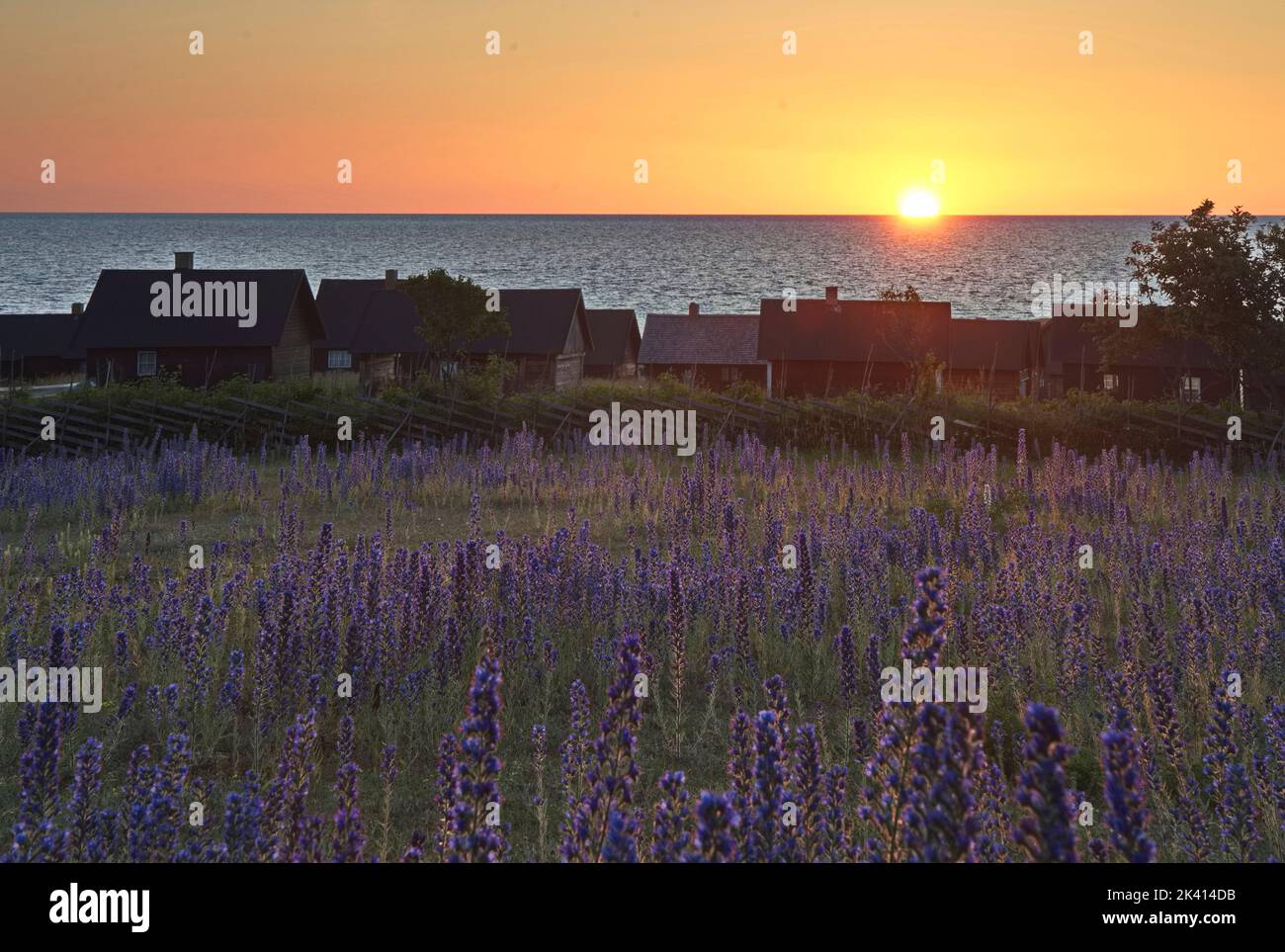 Djupvik Gotland Svezia Foto Stock