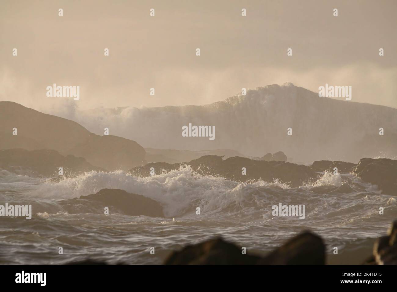 Grande onda di mare al tramonto prima di una notte di ciclone. Costa rocciosa del Portogallo settentrionale. Foto Stock
