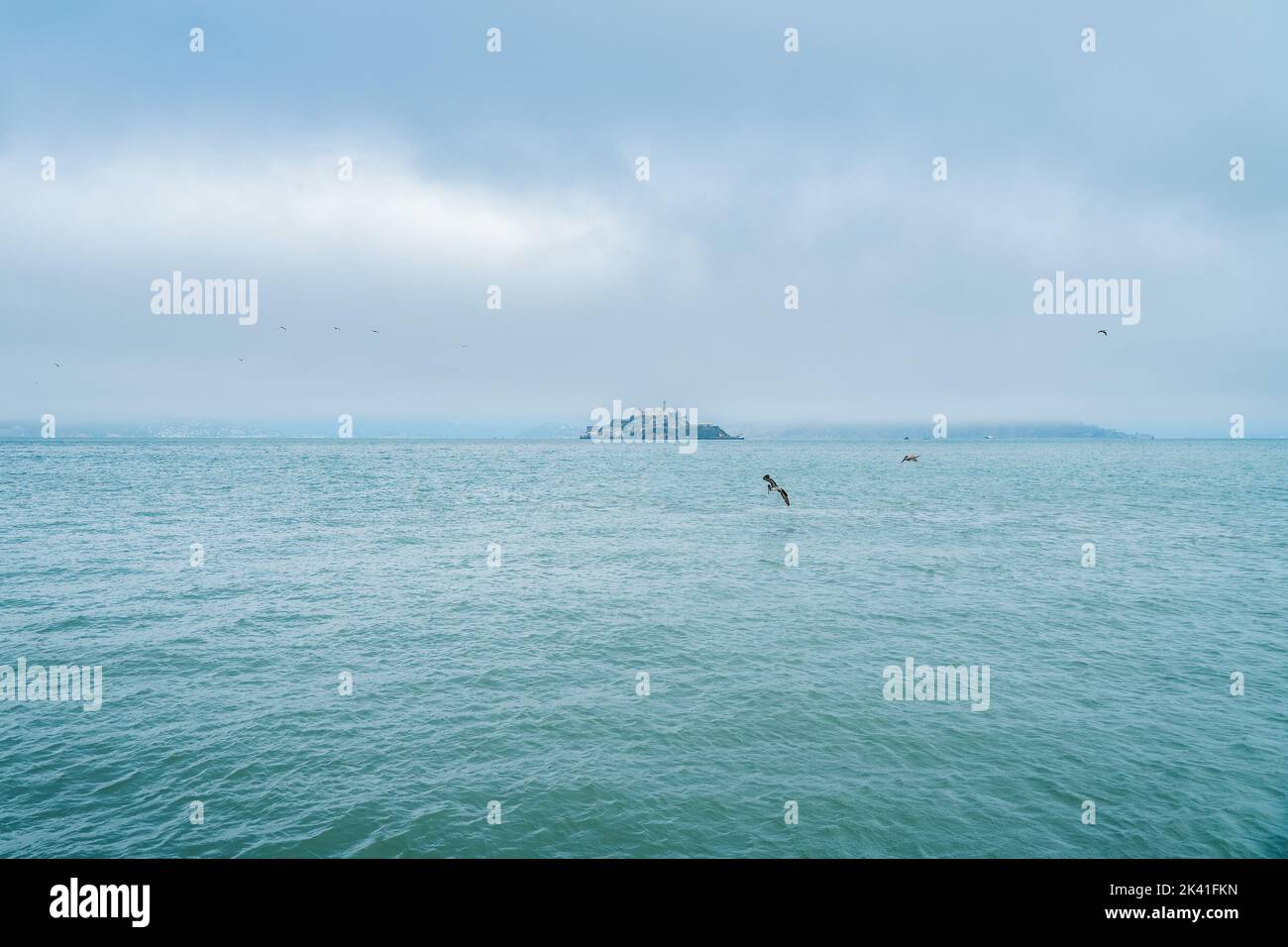 Isola di Alcatraz nella baia di San Francisco in una mattinata misteriosa con pellicani marroni che volano sull'acqua. Viaggiare a NoCal California natura viaggio l Foto Stock