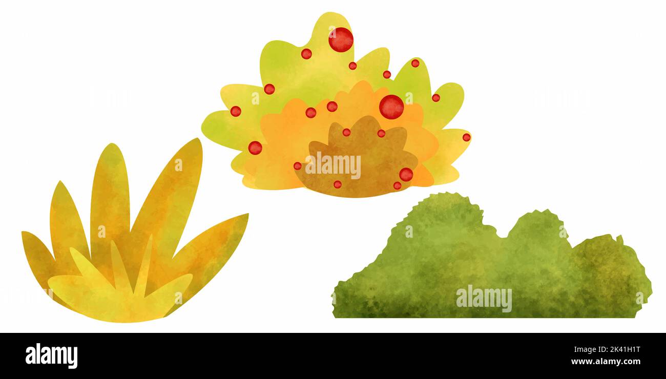 Piante autunnali e cespugli impostare acquerello. Foto Stock
