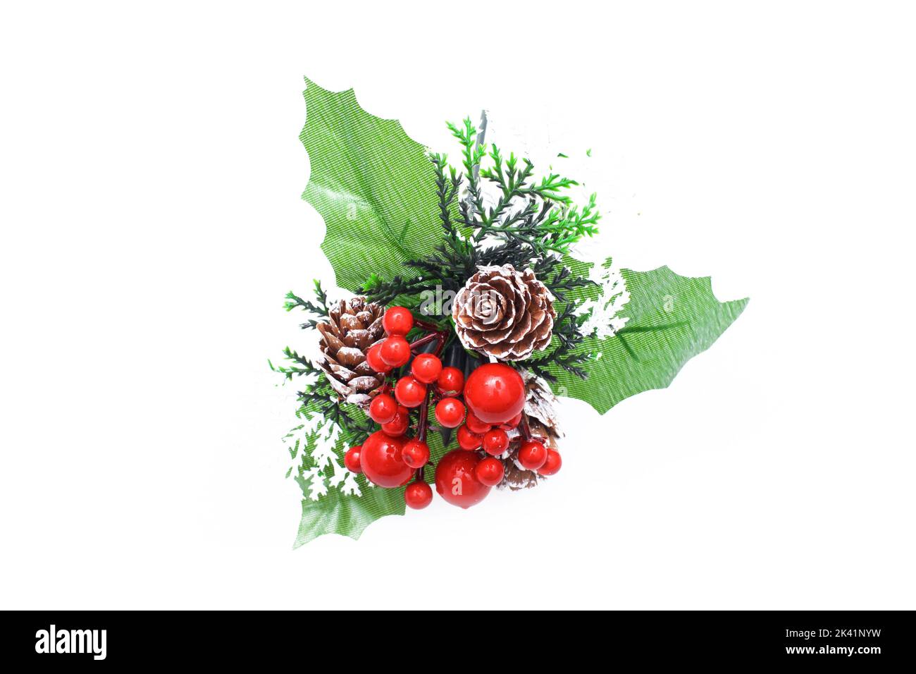 Holly Foglie e bacche rosse isolato su sfondo bianco. Foto Stock