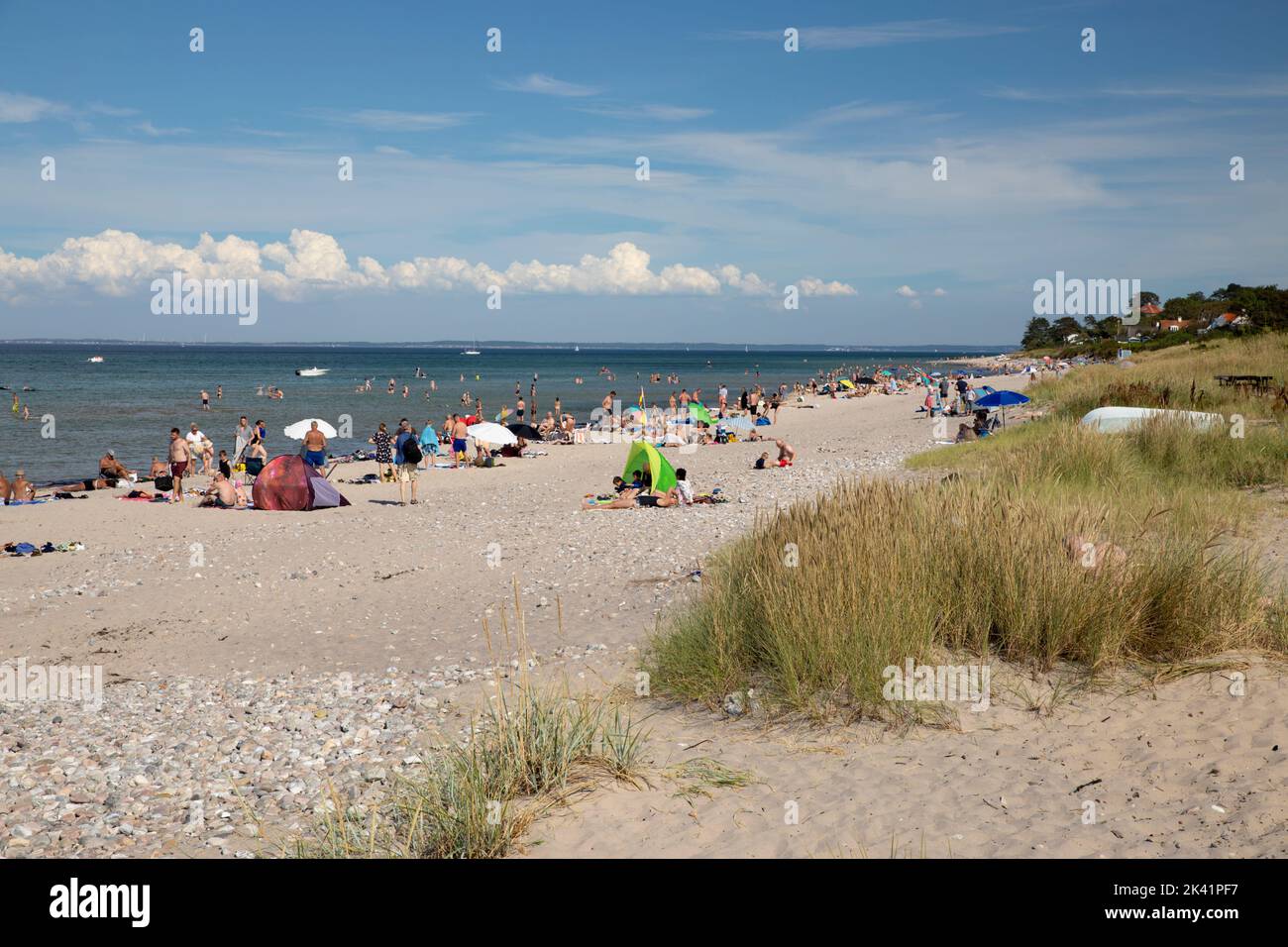 Dronningmolle spiaggia nel soleggiato pomeriggio estivo, Dronningmolle, Zelanda, Danimarca, Europa Foto Stock