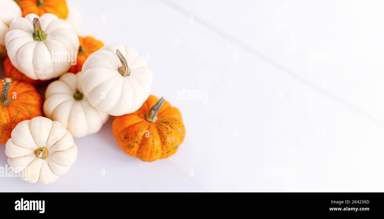 Decorazione autunnale su bianco con spazio copia. Autunno, Halloween, banner di ringraziamento. Foto Stock