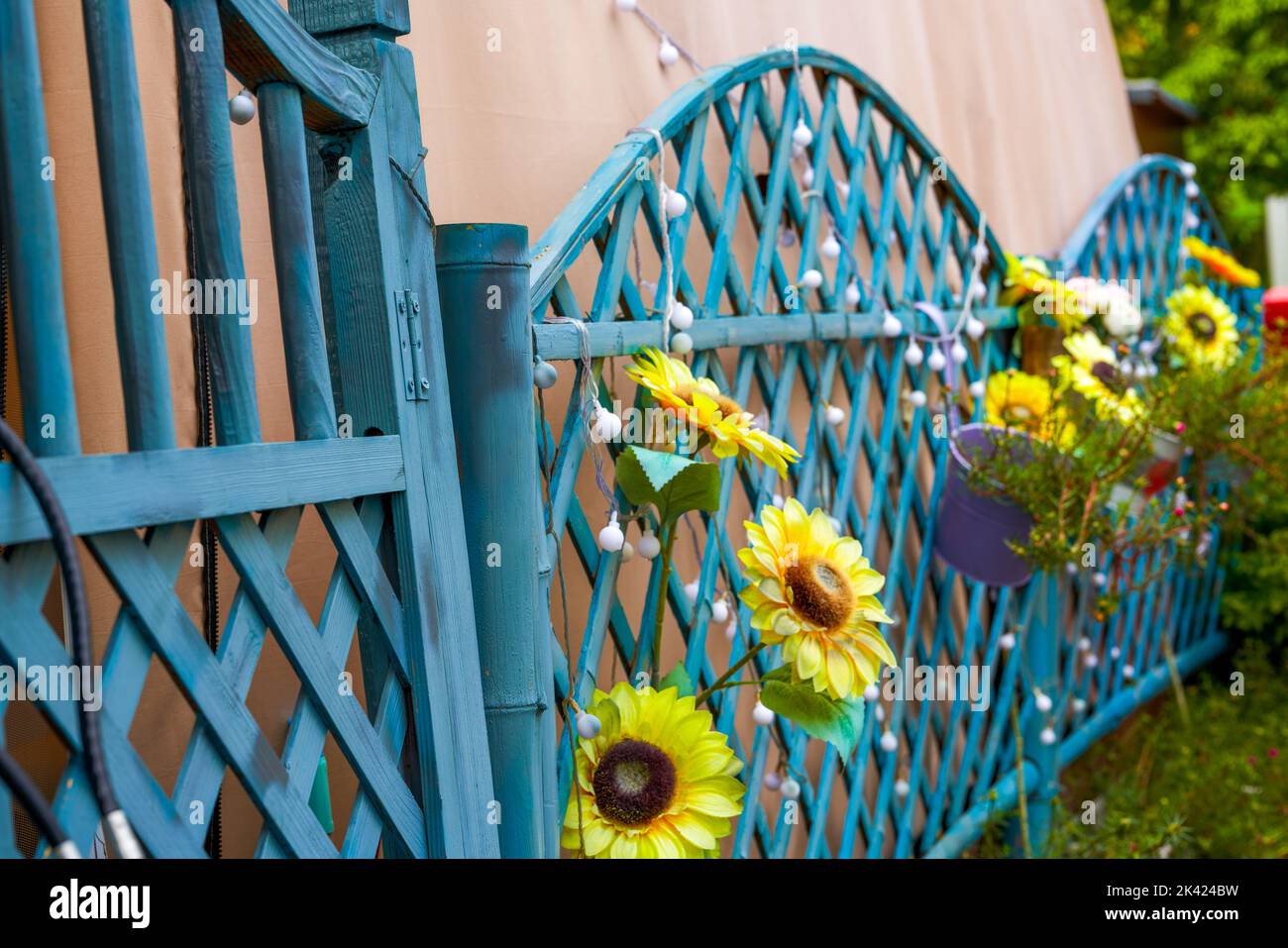 Recinzione di ferro blu e girasoli nel giardino esterno Foto Stock