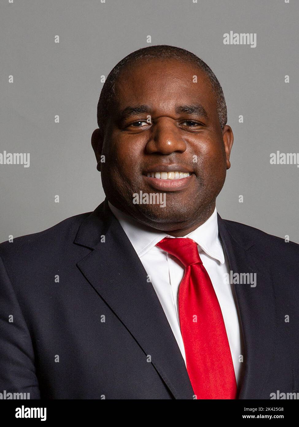 Ritratto ufficiale di Rt Hon David Lammy MP - Segretario di Stato ombra per gli affari esteri e del Commonwealth Foto Stock