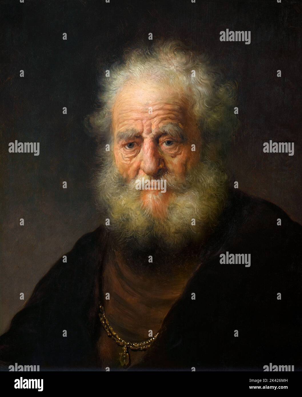 Rembrandt portrait old man beard immagini e fotografie stock ad alta ...