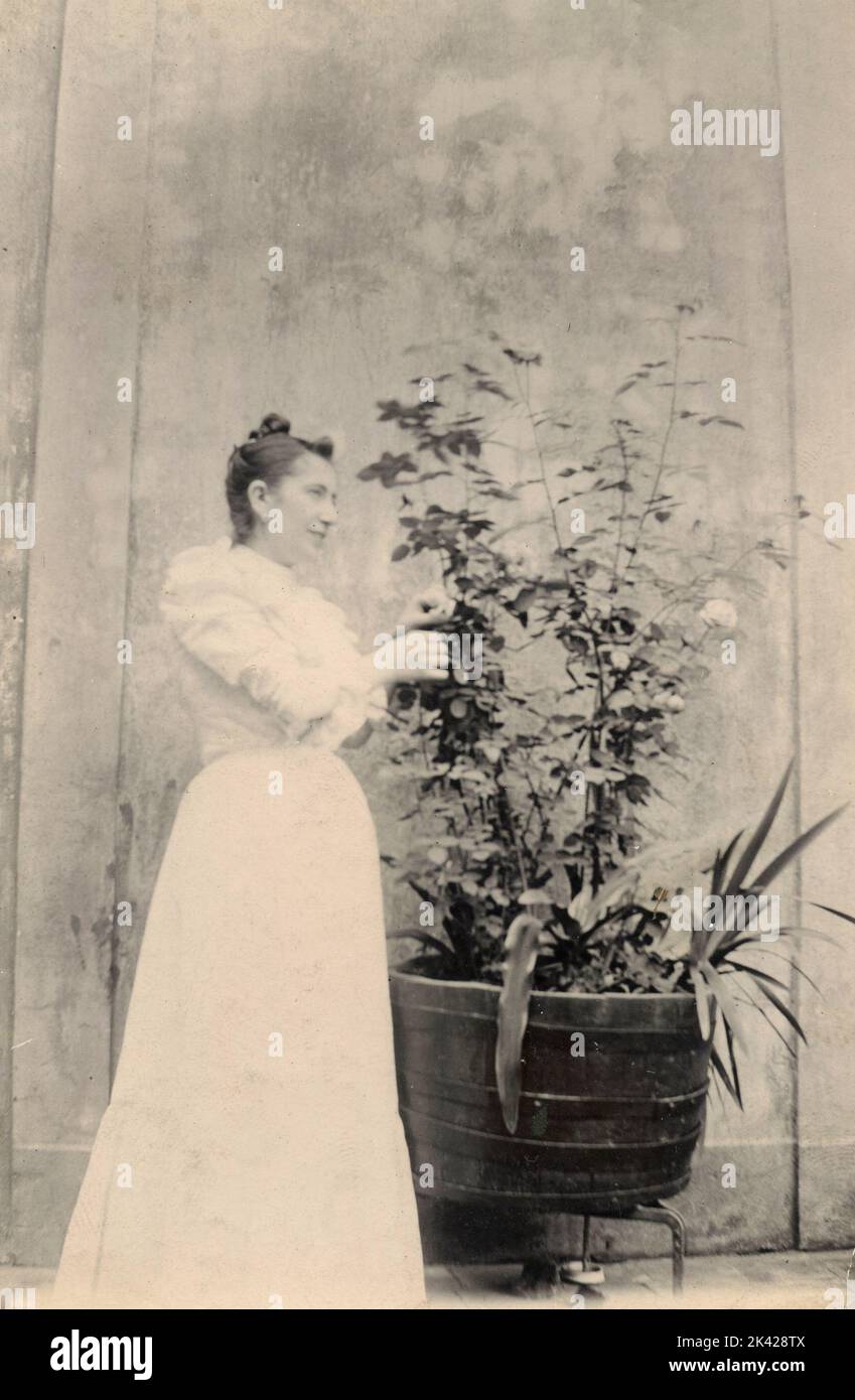 Donna vestita in bianco che controlla le sue rose, Italia 1890s Foto Stock