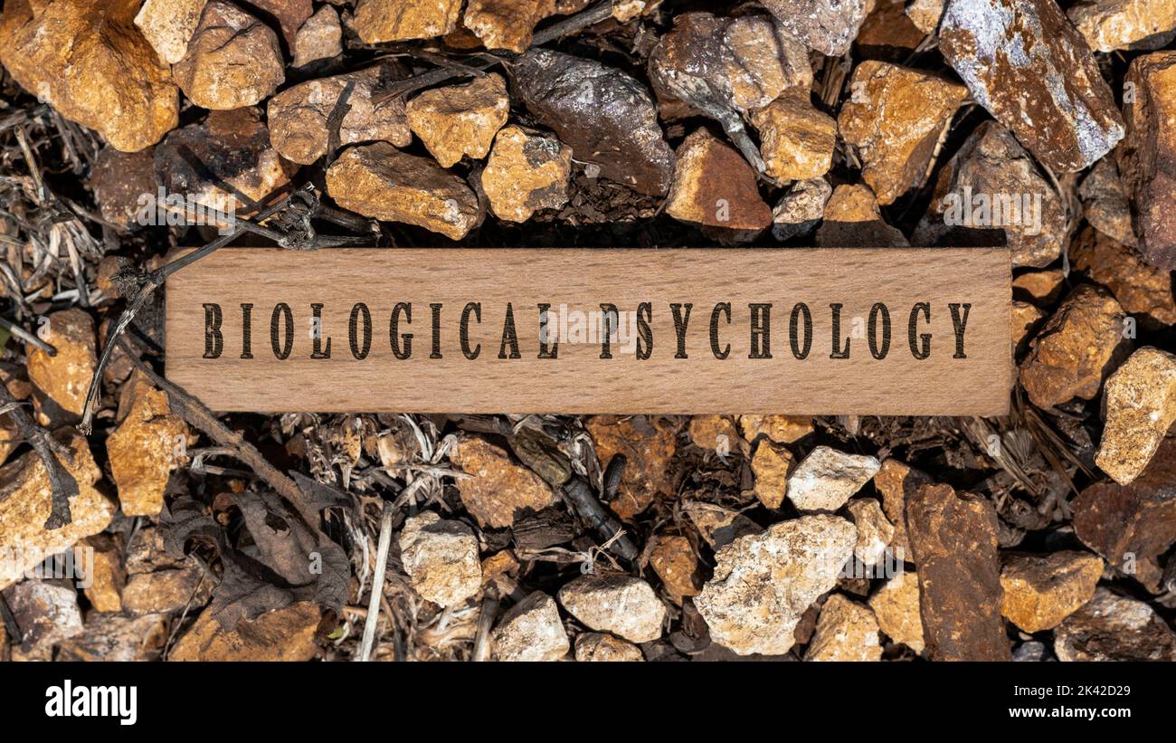 psicologia biologica malattia. Scritta su superficie di legno. Telaio in legno su pezzi di pietra. Malattie e trattamenti Foto Stock