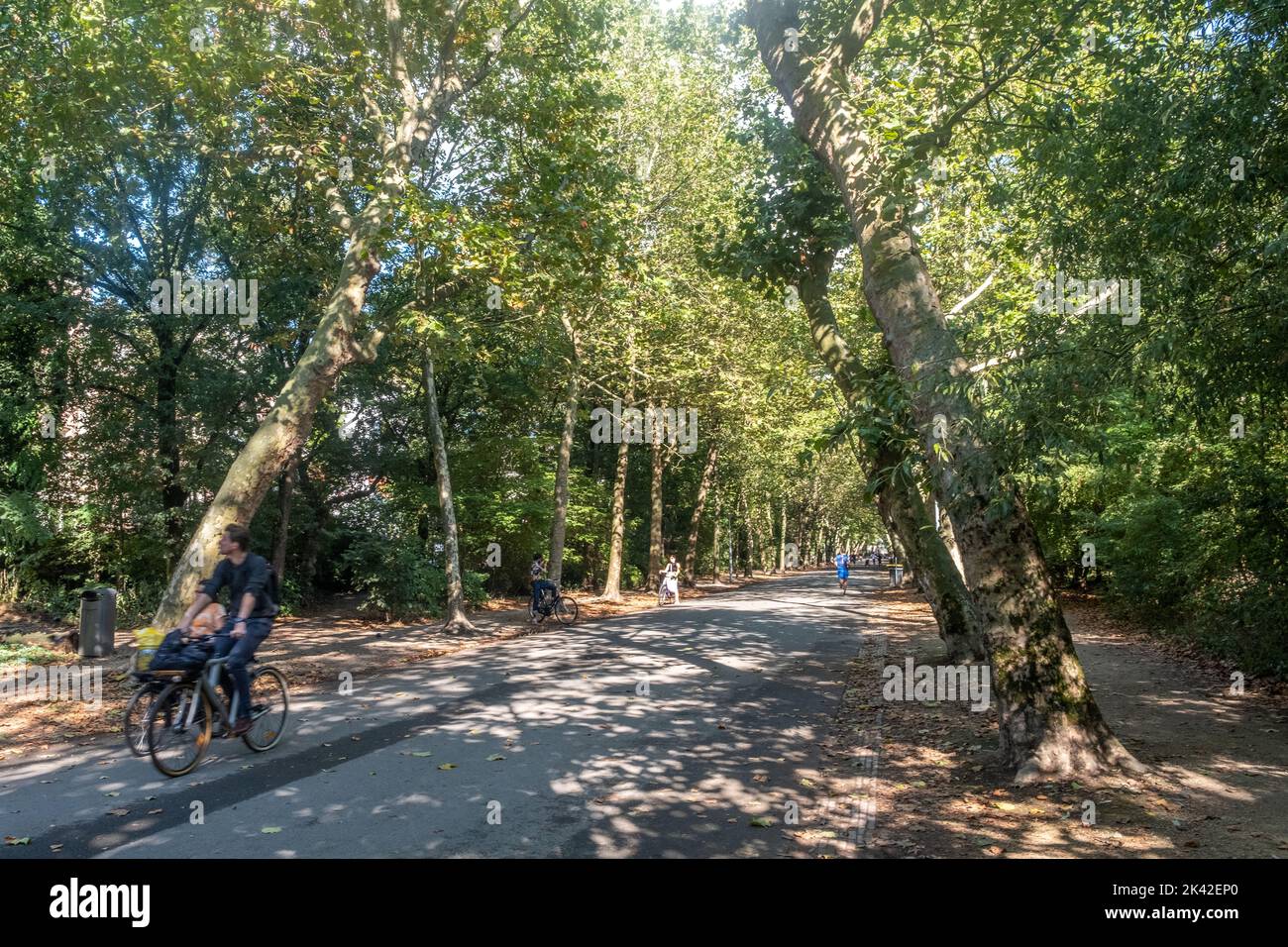 Vondelpark, Amsterdam, Paesi Bassi Foto Stock