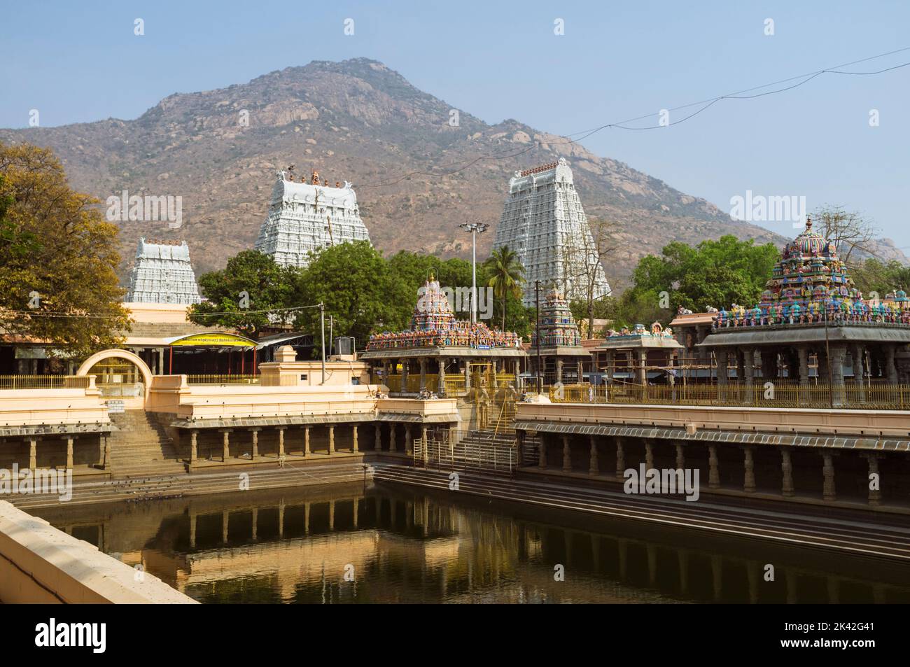 Tiruvannamalai, Tamil Nadu, India: Tempio Annamalaiyar e collina Annamalai come visto dal serbatoio d'acqua in primo piano. Il complesso del tempio è uno dei Foto Stock