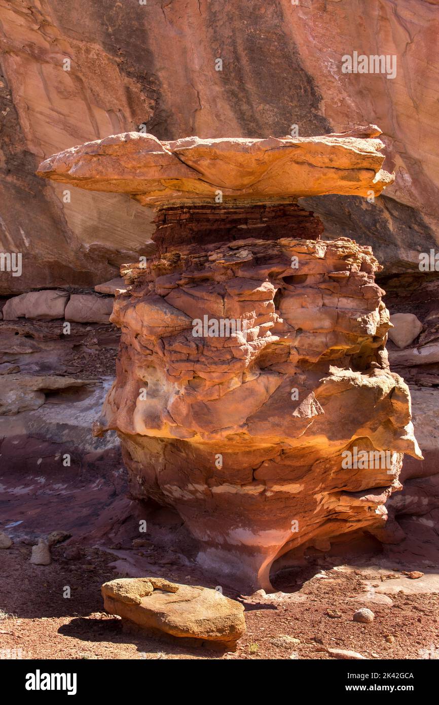 La formazione di rocce arenaria di Cedar Mesa erosa e bizzarro nel Maze District, Canyonlands National Park, Utah. Foto Stock