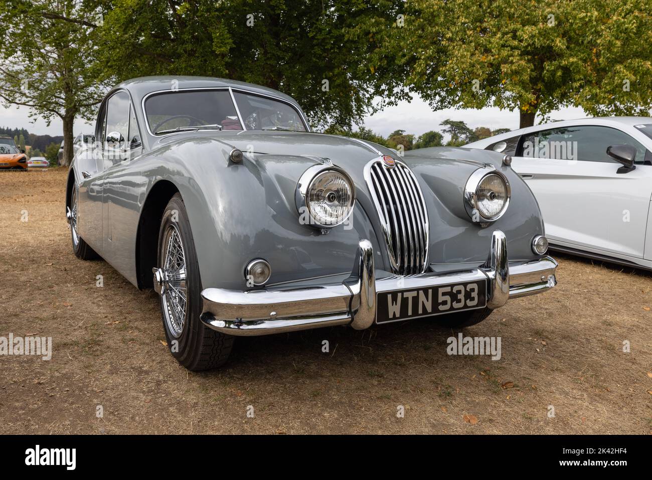 Jaguar XK140 ‘WTN 533’ in mostra al Salone Privé Concours d’Elégance Motor Show tenutosi a Blenheim Palace Foto Stock