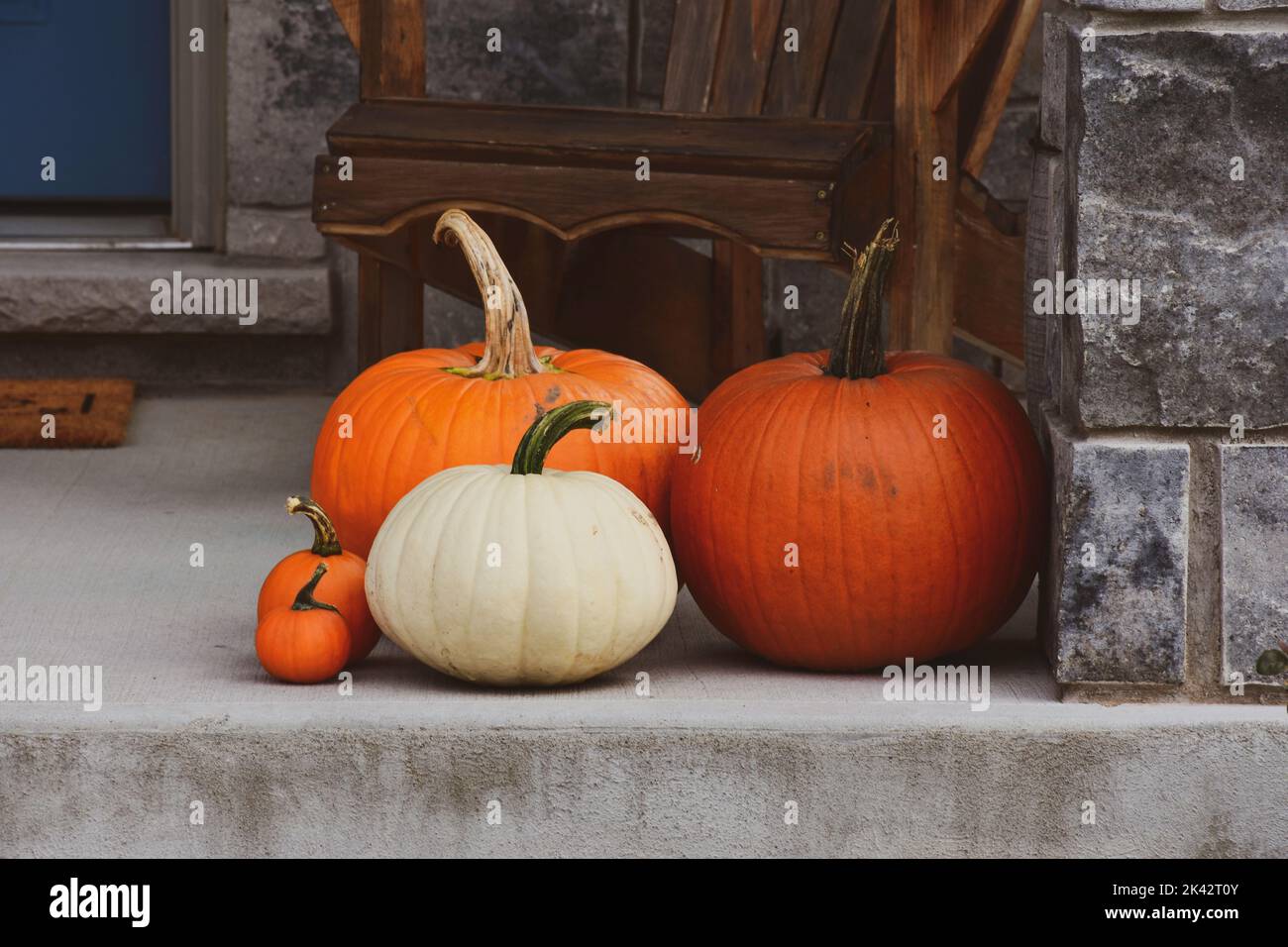 Le zucche bianche e arancioni creano un colorato sfondo di ringraziamento o Halloween. Foto Stock