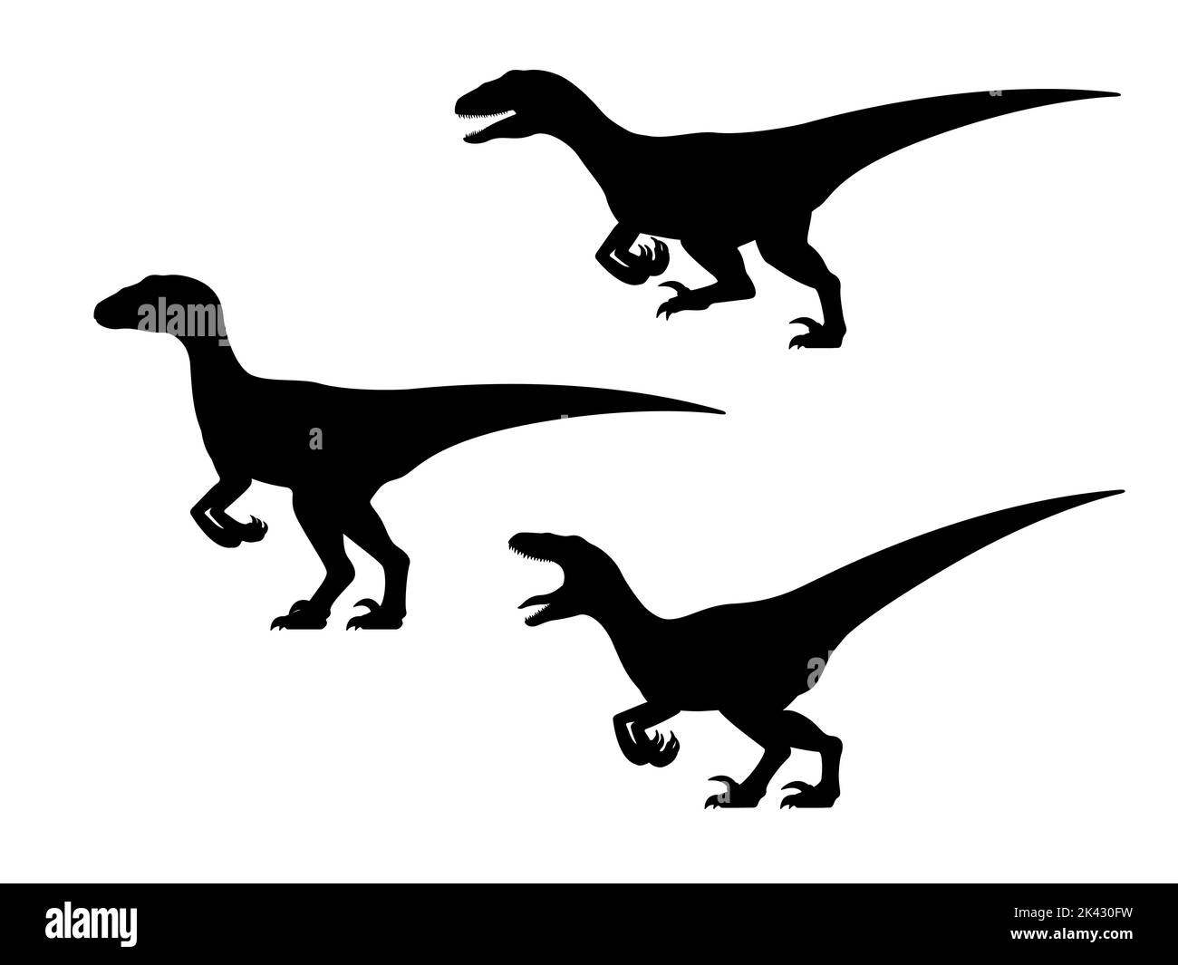 Set di silhouette in dinosauro Velociraptor. Vettore illustrazione gruppo nero silhouette dinosauro velociraptor isolato su sfondo bianco. Vista laterale. Illustrazione Vettoriale