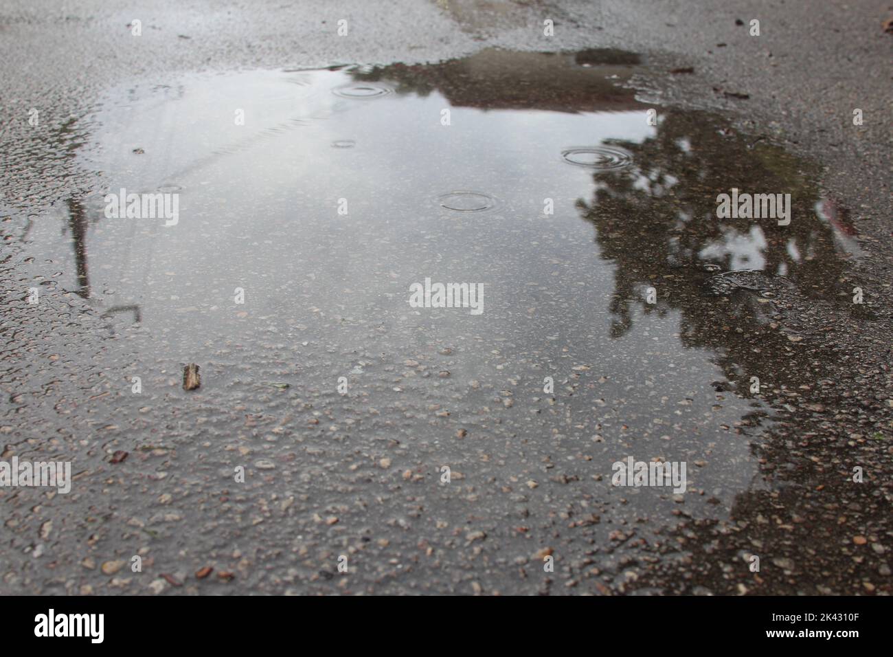 Primo piano di una pozza dopo una tempesta tropicale Foto Stock