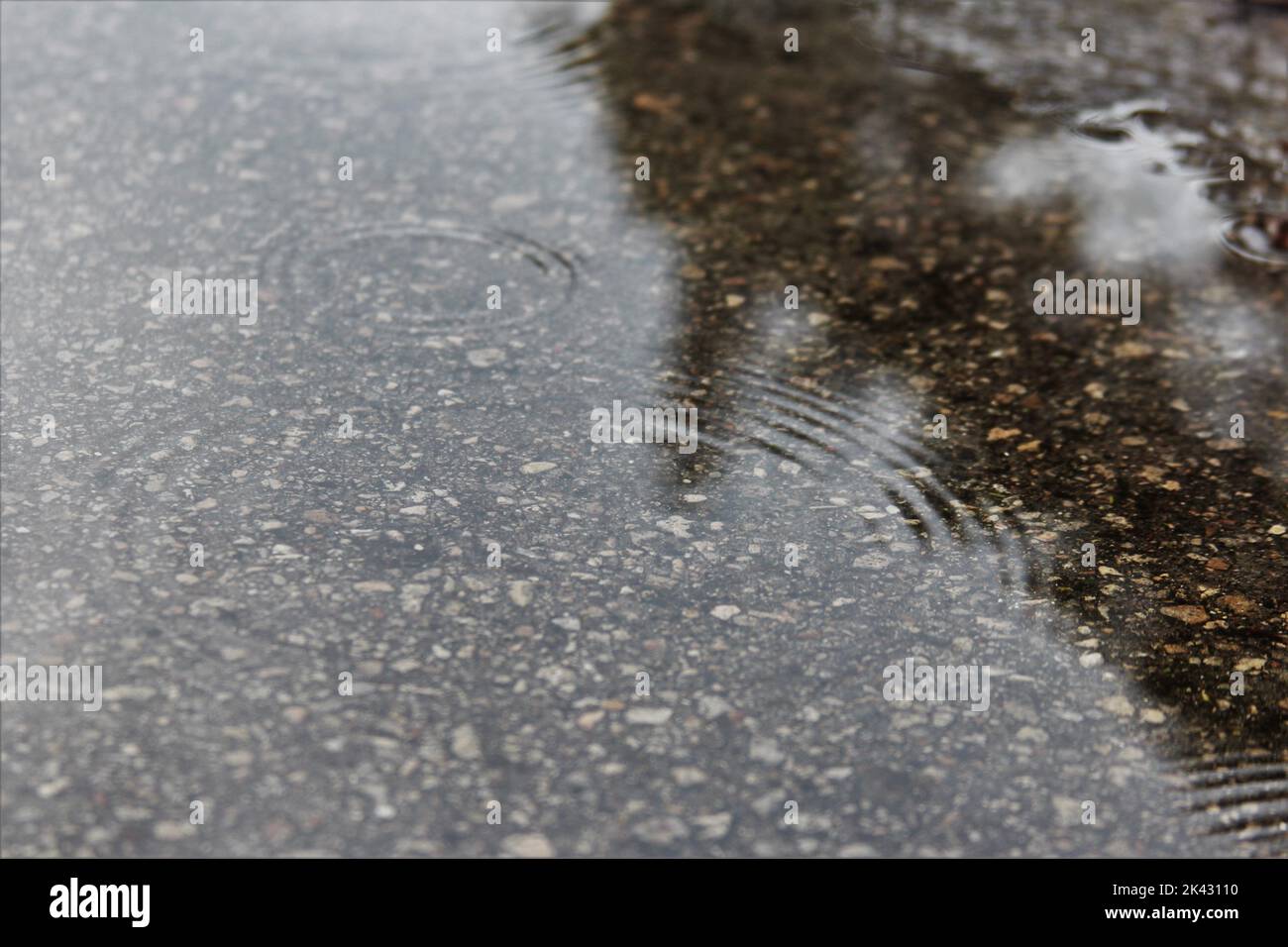 Primo piano di una pozza dopo una tempesta tropicale Foto Stock