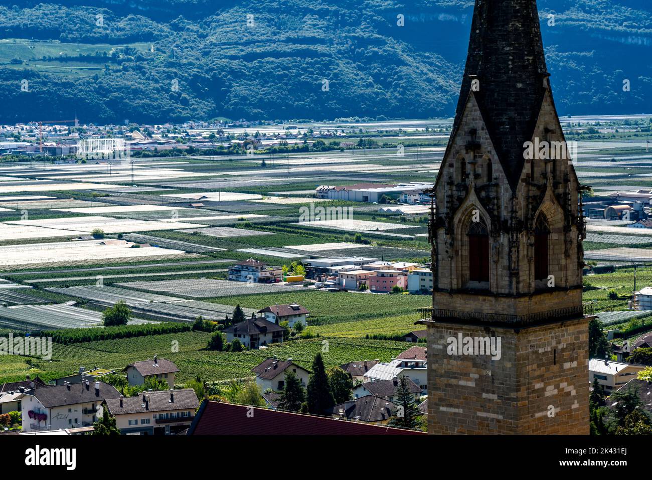 Zona di coltivazione della mela e viticoltura, in Val d'Etsch, Alto Adige, grandi superfici coltivate, in Alto Adige su 18.400 ettari coltivati Foto Stock