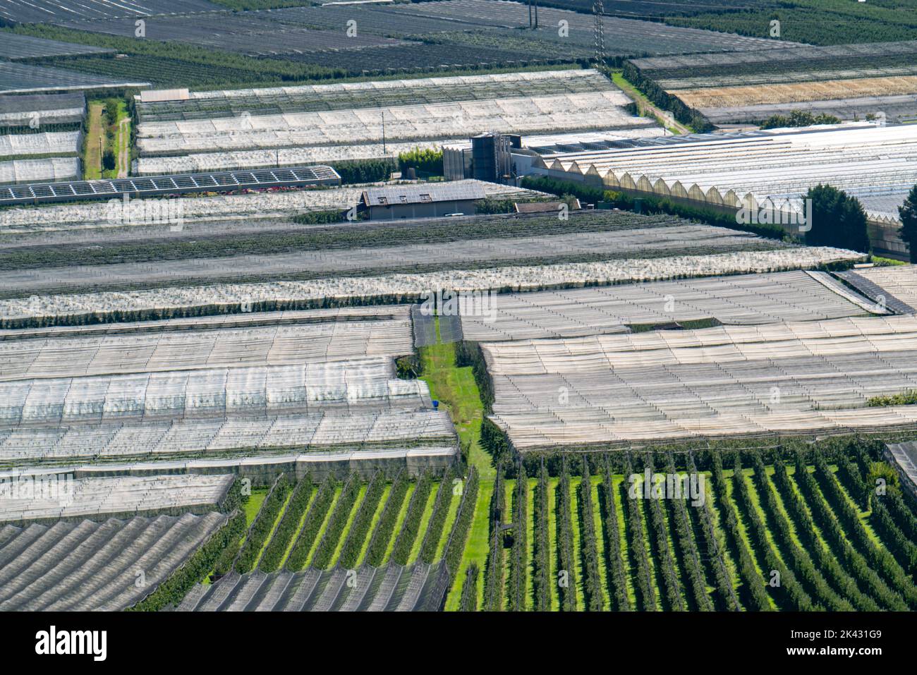 Superficie coltivata a mele e viticoltura, in Valle dell'Adige, Alto Adige, ampie superfici coltivate, in Alto Adige su 18.400 ettari coltivati Foto Stock