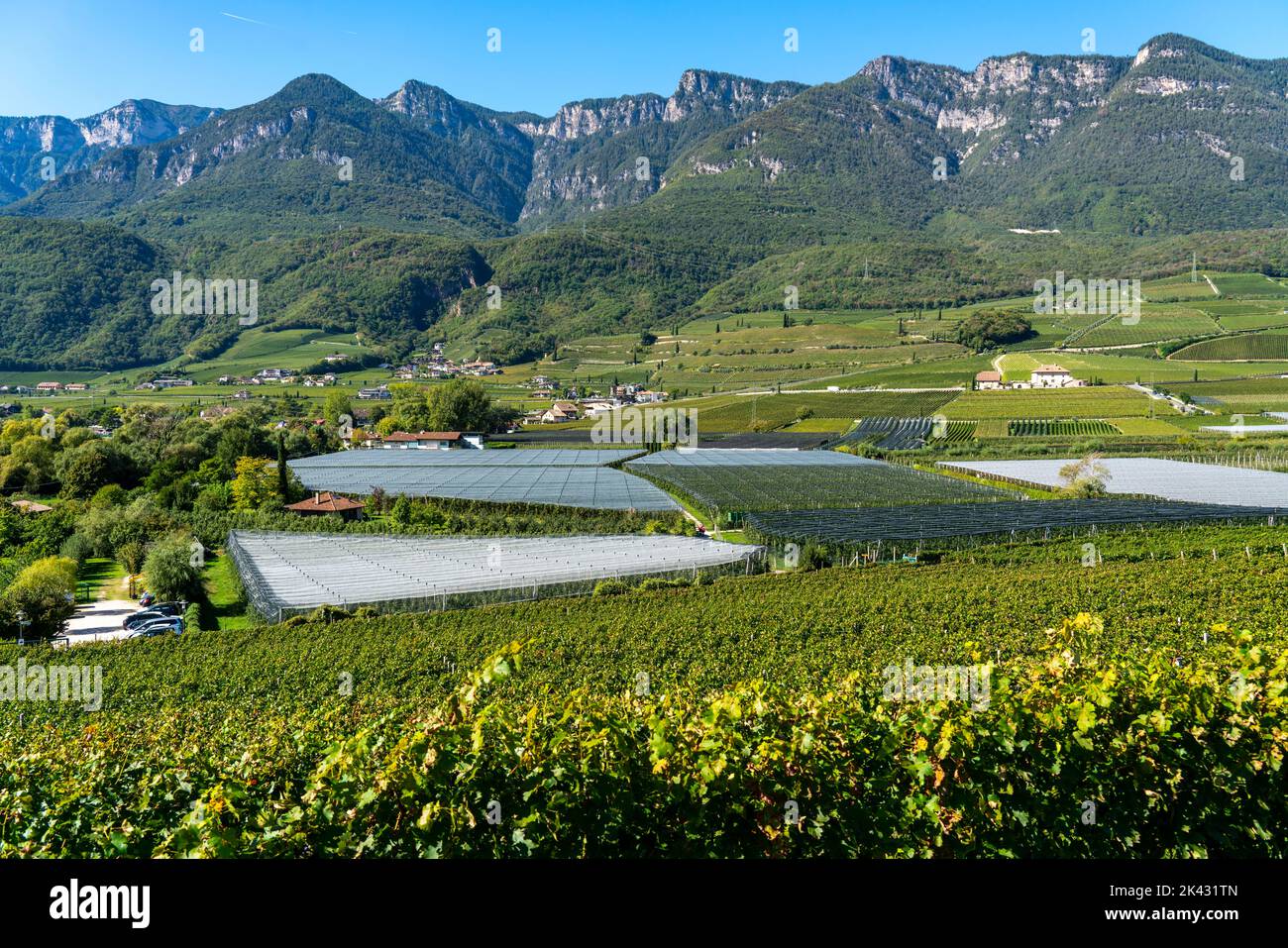 Superficie coltivata a mele e viticoltura, in Valle dell'Adige, Alto Adige, ampie superfici coltivate, in Alto Adige su 18.400 ettari coltivati Foto Stock