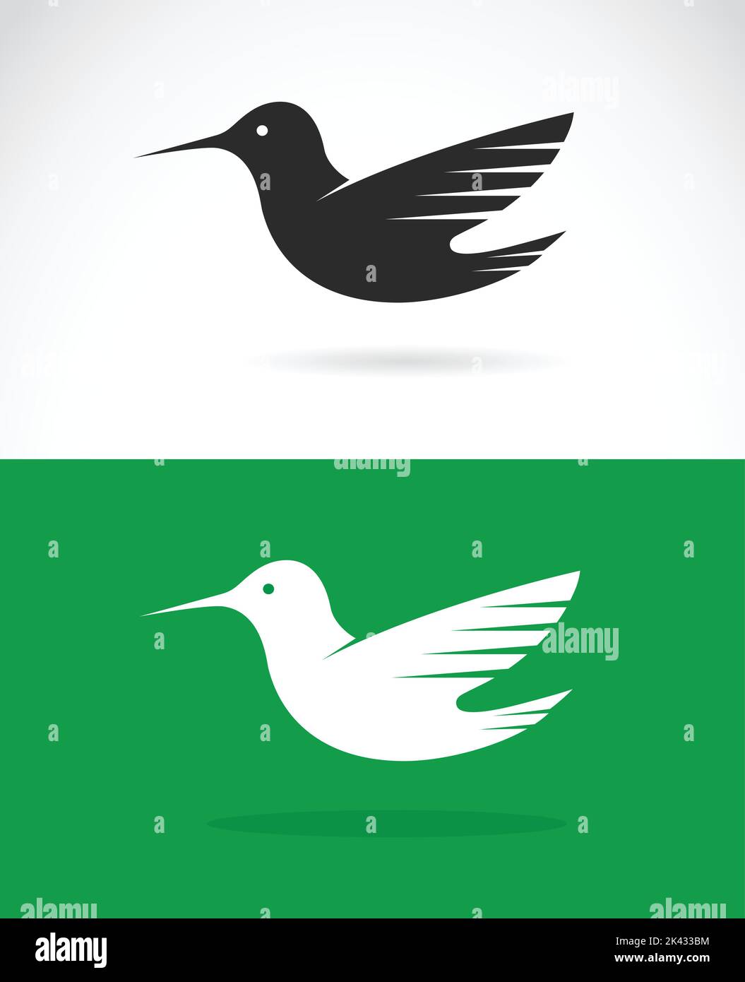 Immagine vettoriale di un disegno di colibrì su sfondo verde e bianco. Illustrazione vettoriale a strati facilmente modificabile. Animali selvatici. Illustrazione Vettoriale