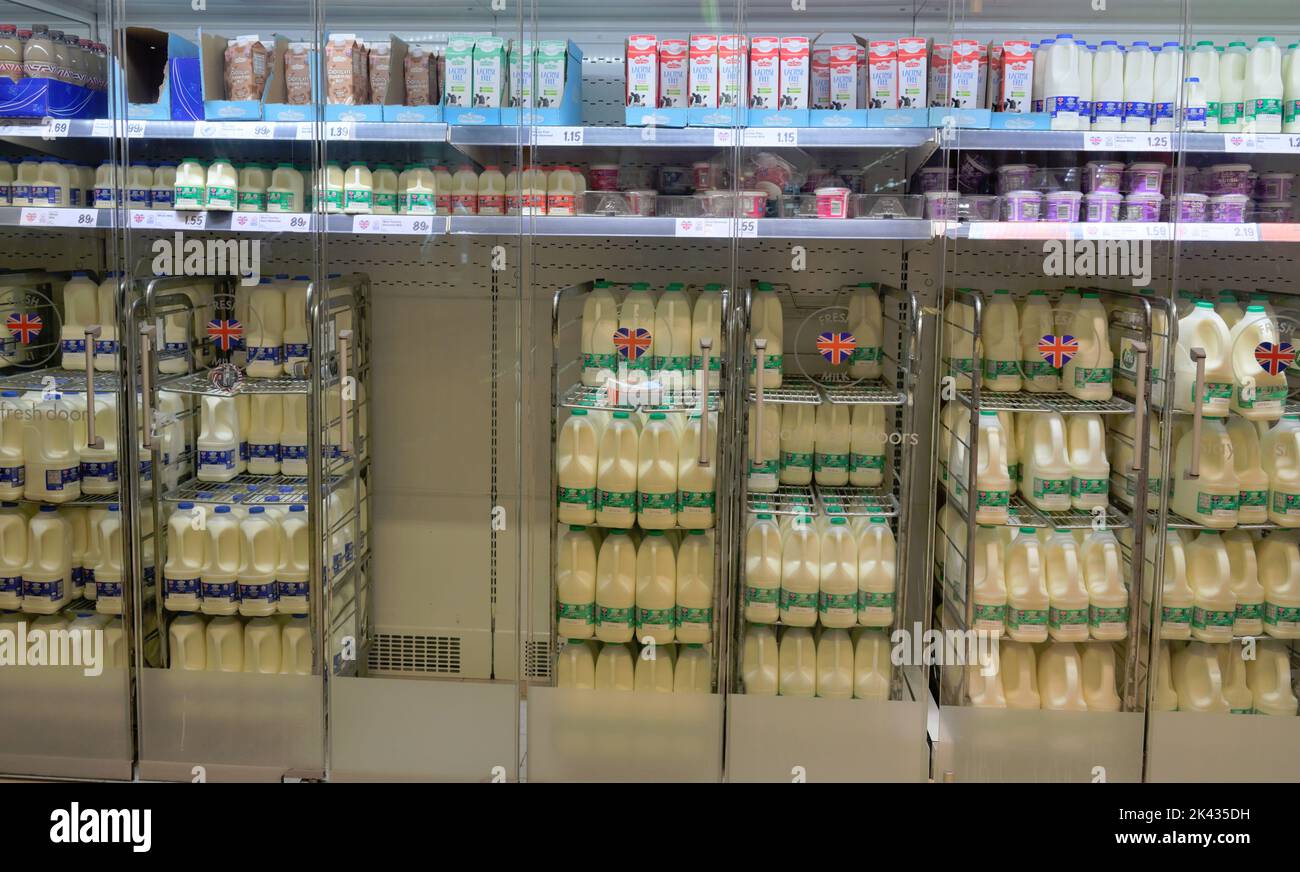 Lidl supermercato scaffali con latte e bevande, Regno Unito Foto Stock