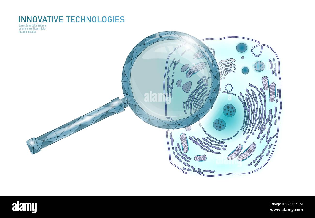 Animale cellula umana struttura scienze educative. Microscopio 3d nucleo eucariotico organelle medicina analisi della tecnologia. Blu brillante poster di biologia Illustrazione Vettoriale