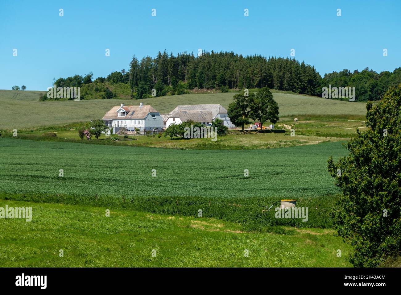Paesaggio collinare danese con fattoria Foto Stock