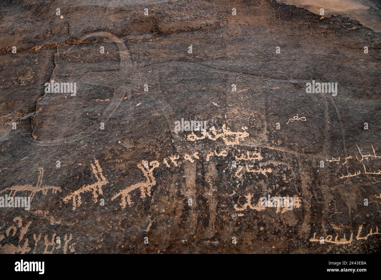 Scultura rocciosa di uno Ibex dal 5000BC al 6000 a.C. sovrapposto con iscrizioni e animali Thamudici 1000 a.C. Jubah Arabia Saudita Foto Stock