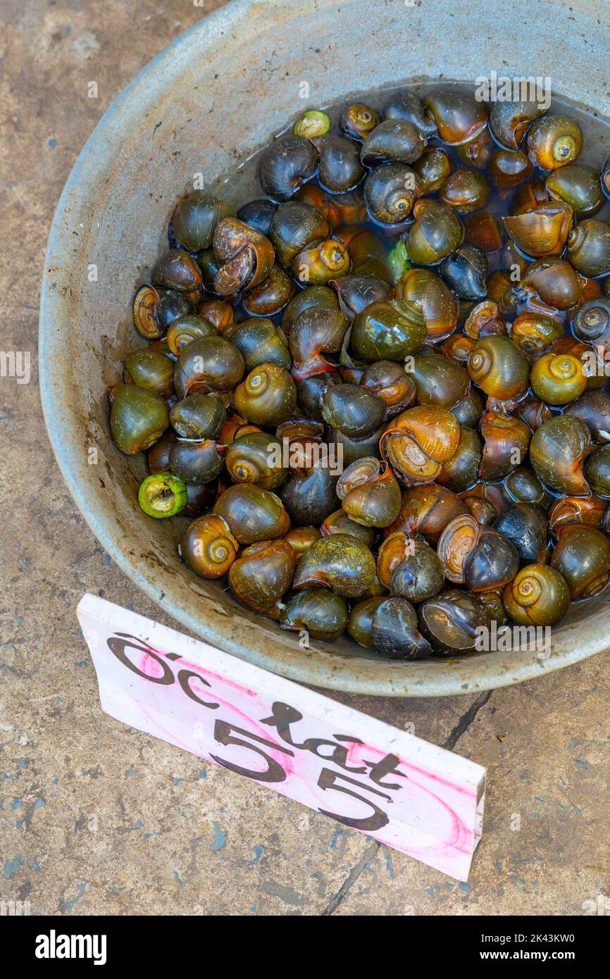 My Tho, Tien Giang provincia, il Delta del Mekong, Vietnam Foto Stock