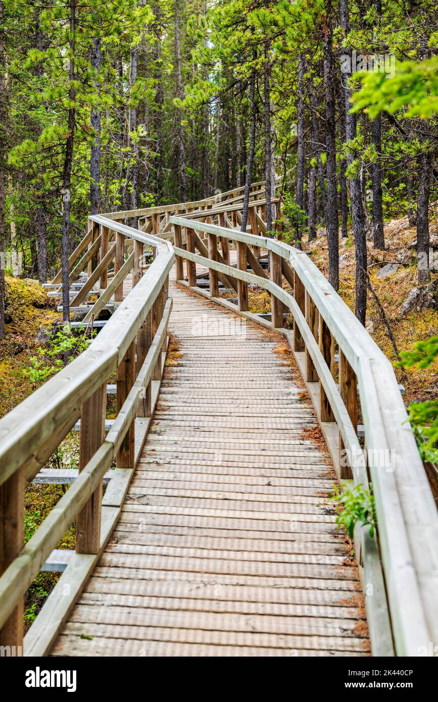 Boardwalk; Rancheria Falls Recreation Site; Yukon Territories; Canada Foto Stock