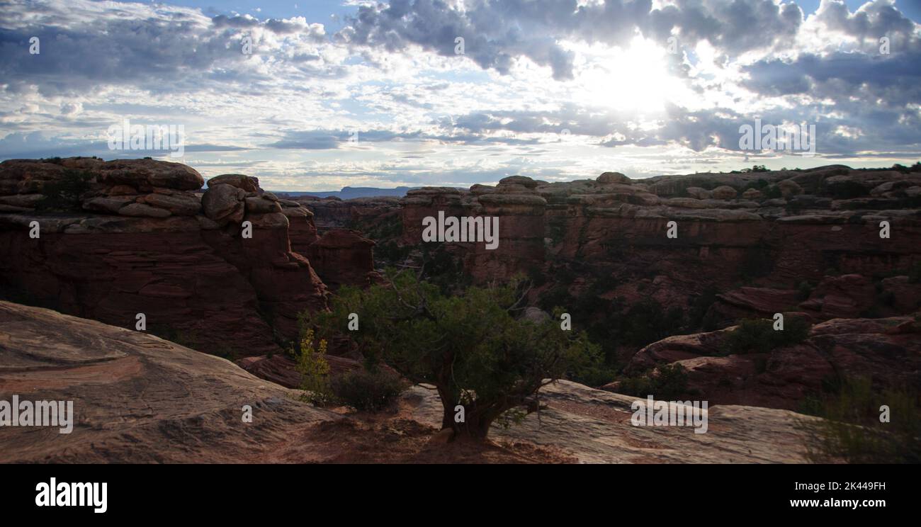 Viste panoramiche del quartiere degli aghi nel parco nazionale di Canyonlands. Foto Stock