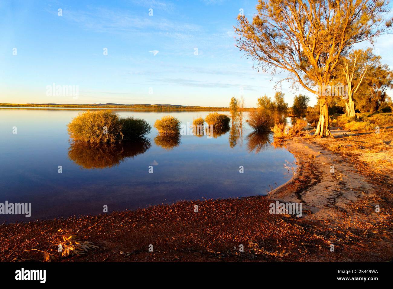 Lago Ninan sale lago al tramonto, Wongan Hills, Australia Occidentale Foto Stock