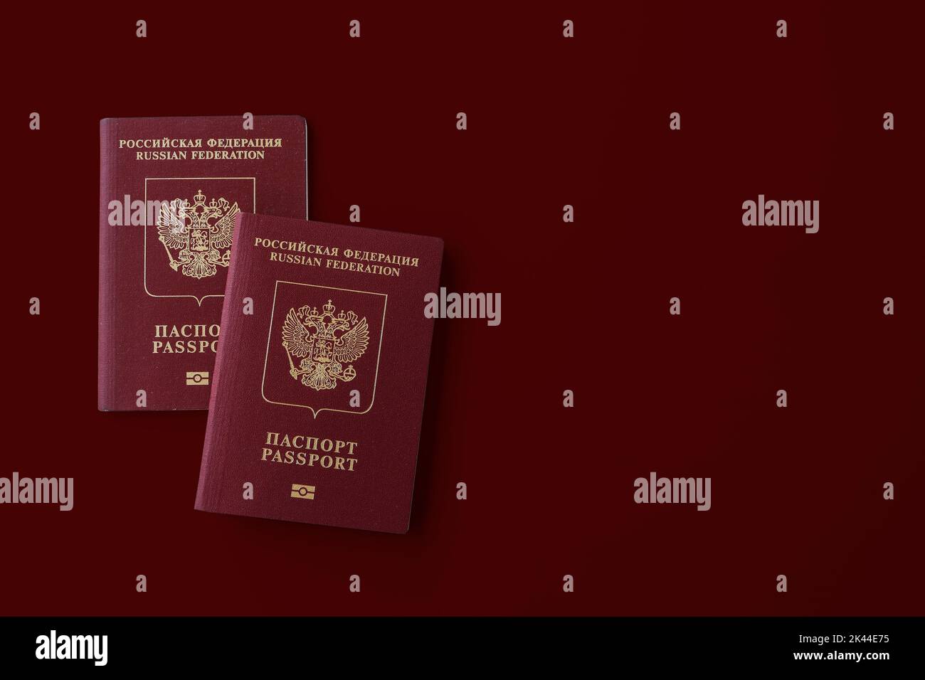 Due passaporti internazionali russi su sfondo bordeaux. Foto Stock